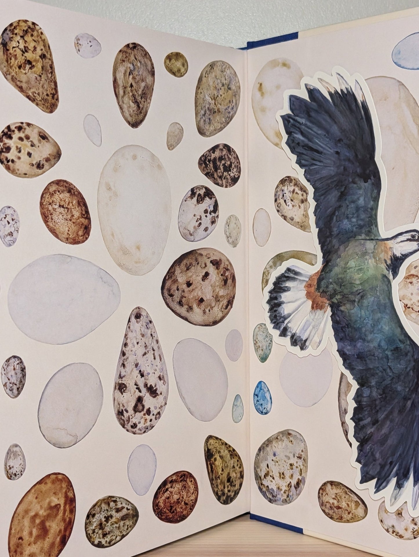 The Book of Birds by Robert Macfarlane (Double Signed First Edition) - Fialta Books