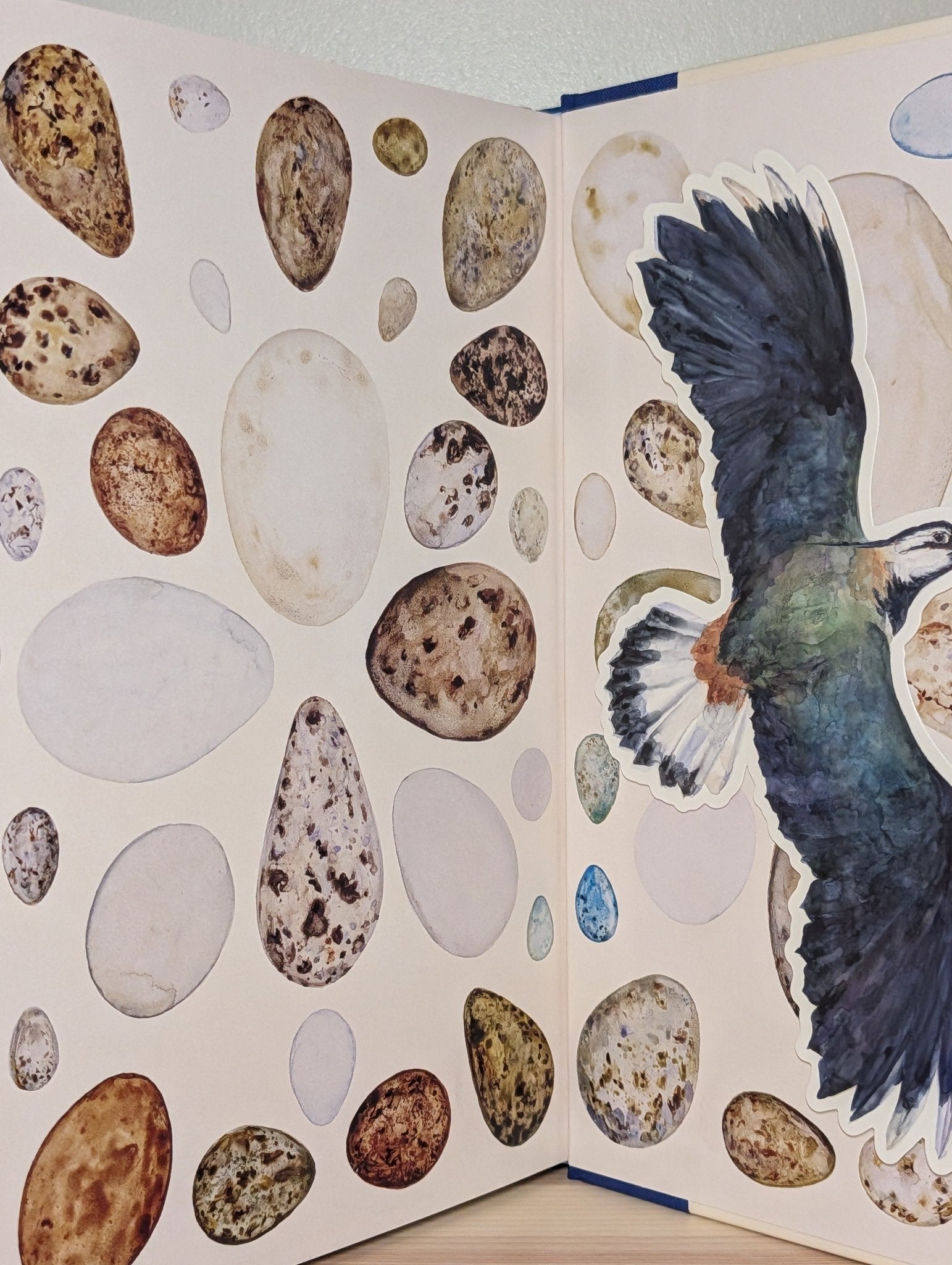 The Book of Birds by Robert Macfarlane (Double Signed First Edition) - Fialta Books