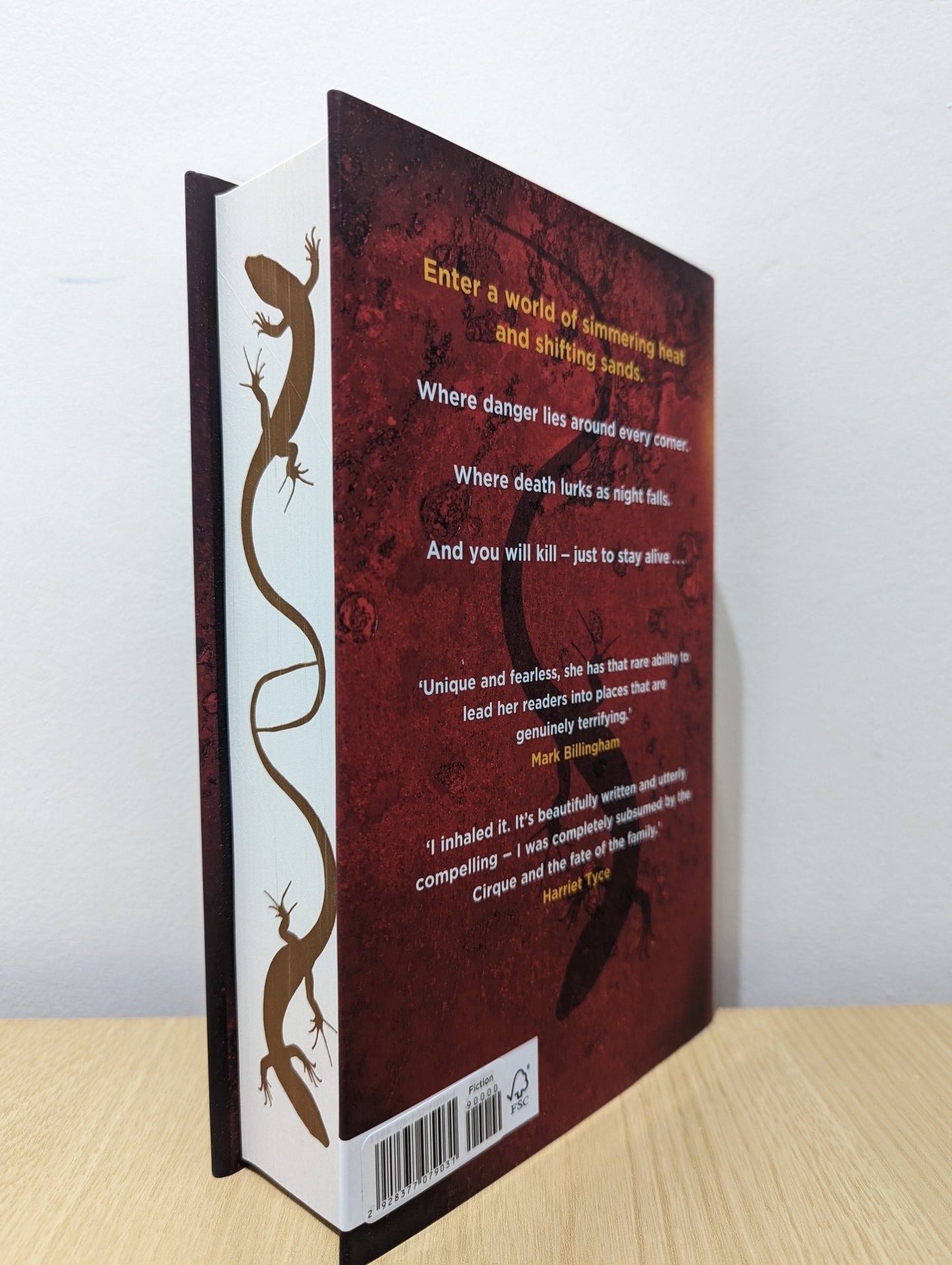 The Book of Sand by Theo Clare (First Edition with stencilled edge) - Fialta Books