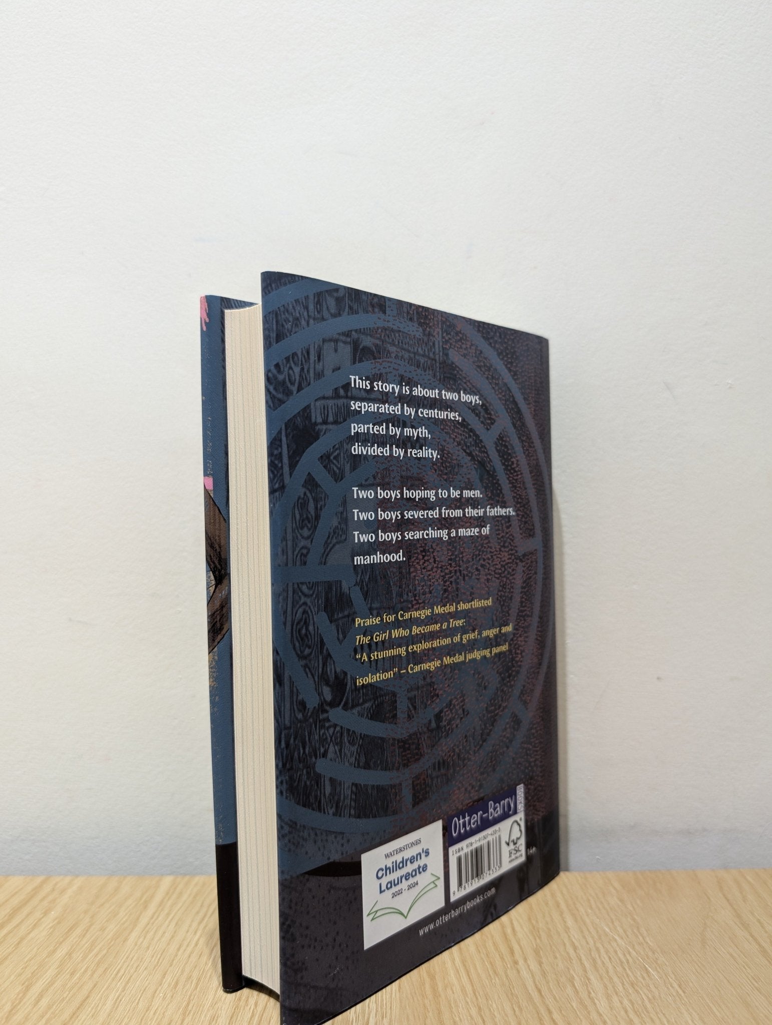 The Boy Lost in the Maze by Joseph Coelho (First Edition) - Fialta Books