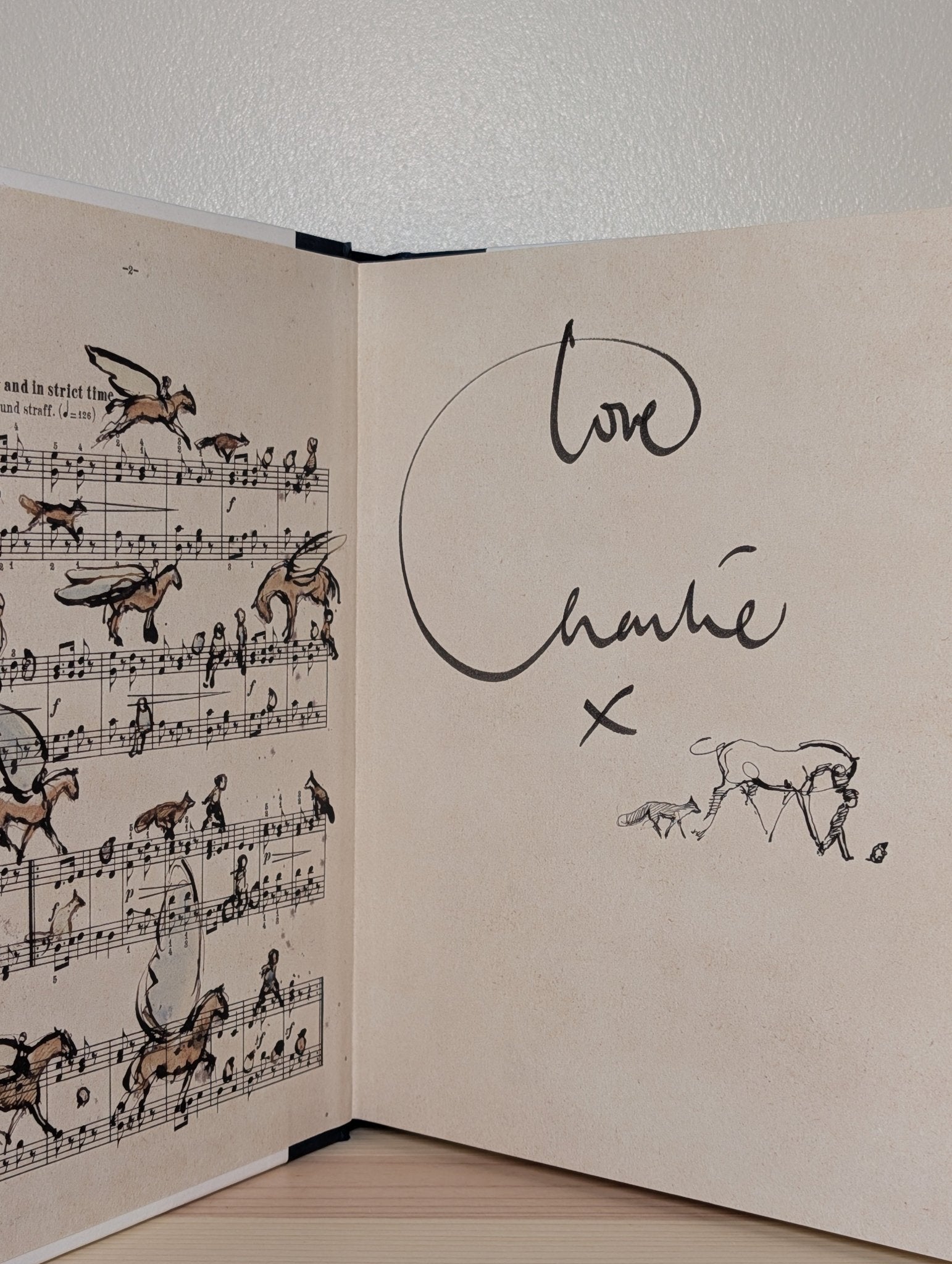 The Boy, the Mole, the Fox and the Horse by Charlie Mackesy (Signed) - Fialta Books