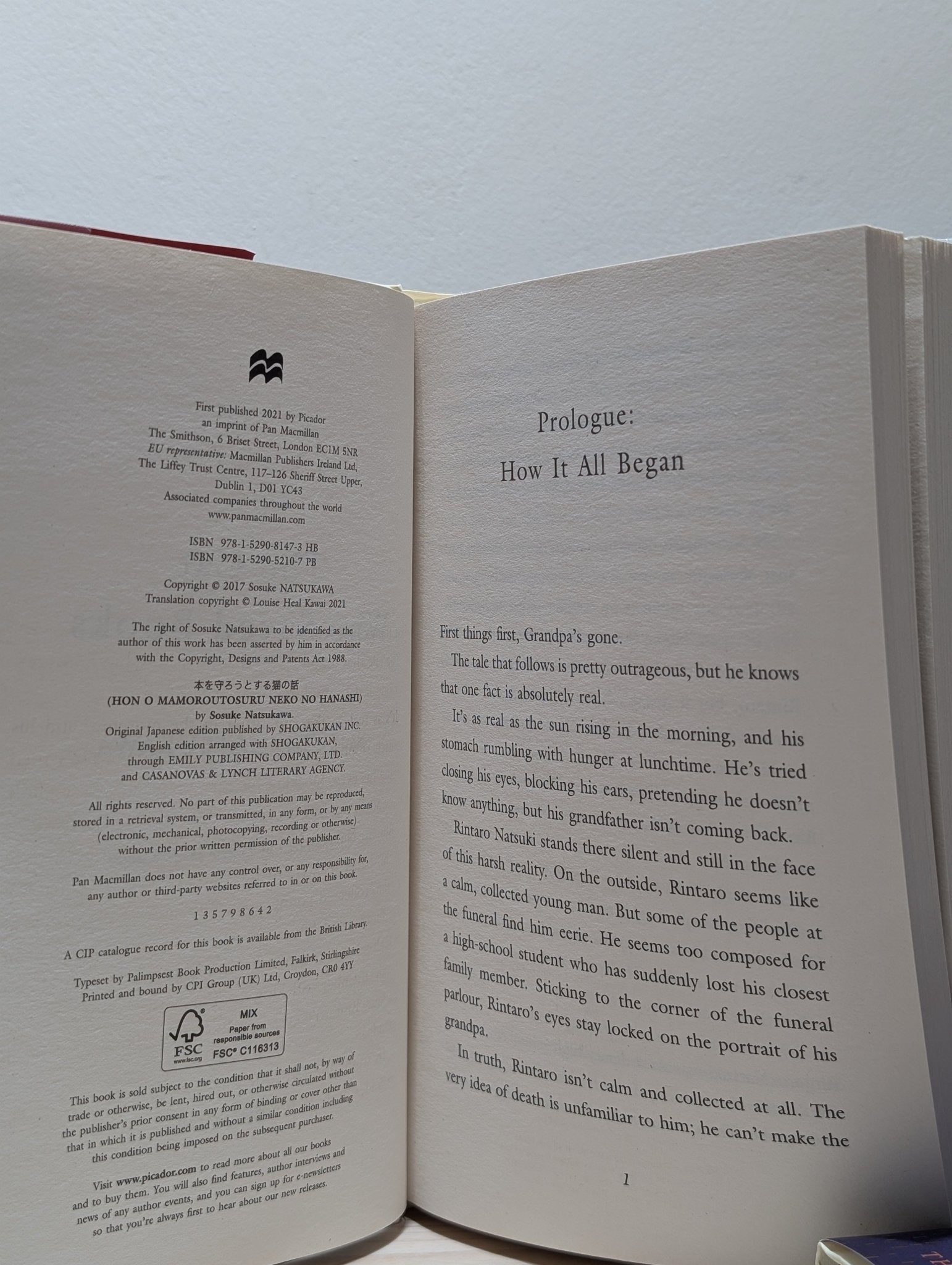 The Cat Who Saved Books; The Cat Who Saved the Library by Sosuke Natsukawa (First Edition Set) - Fialta Books