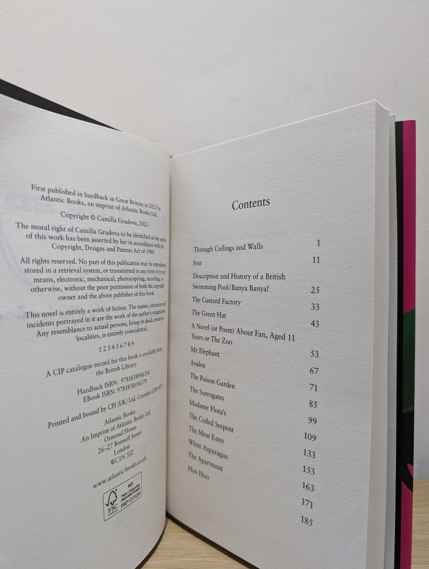 The Coiled Serpent by Camilla Grudova (Signed First Edition) - Fialta Books