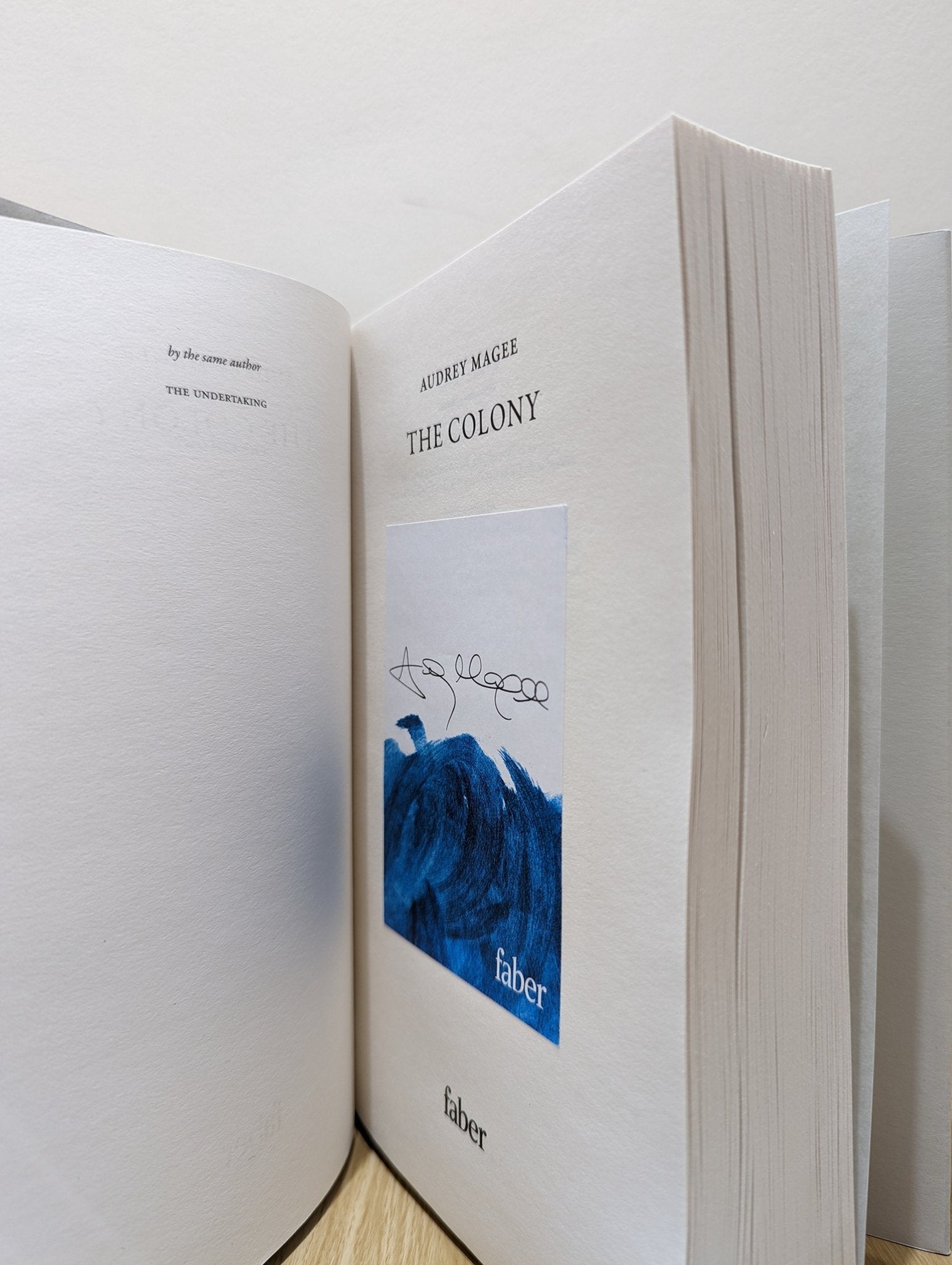 The Colony by Audrey Magee (Signed First Edition) - Fialta Books