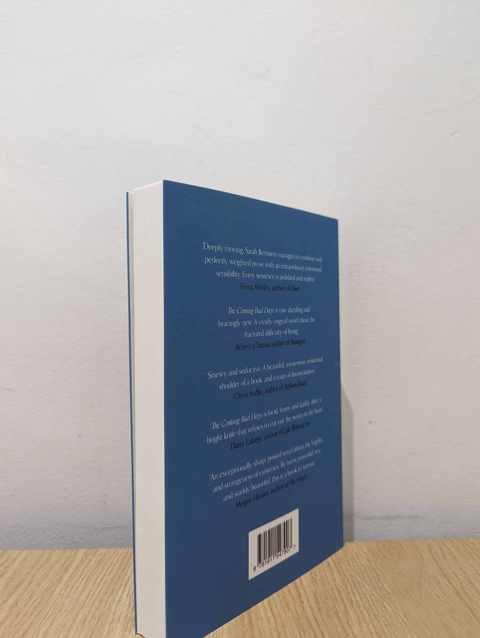 The Coming Bad Days by Sarah Bernstein (First Edition) - Fialta Books