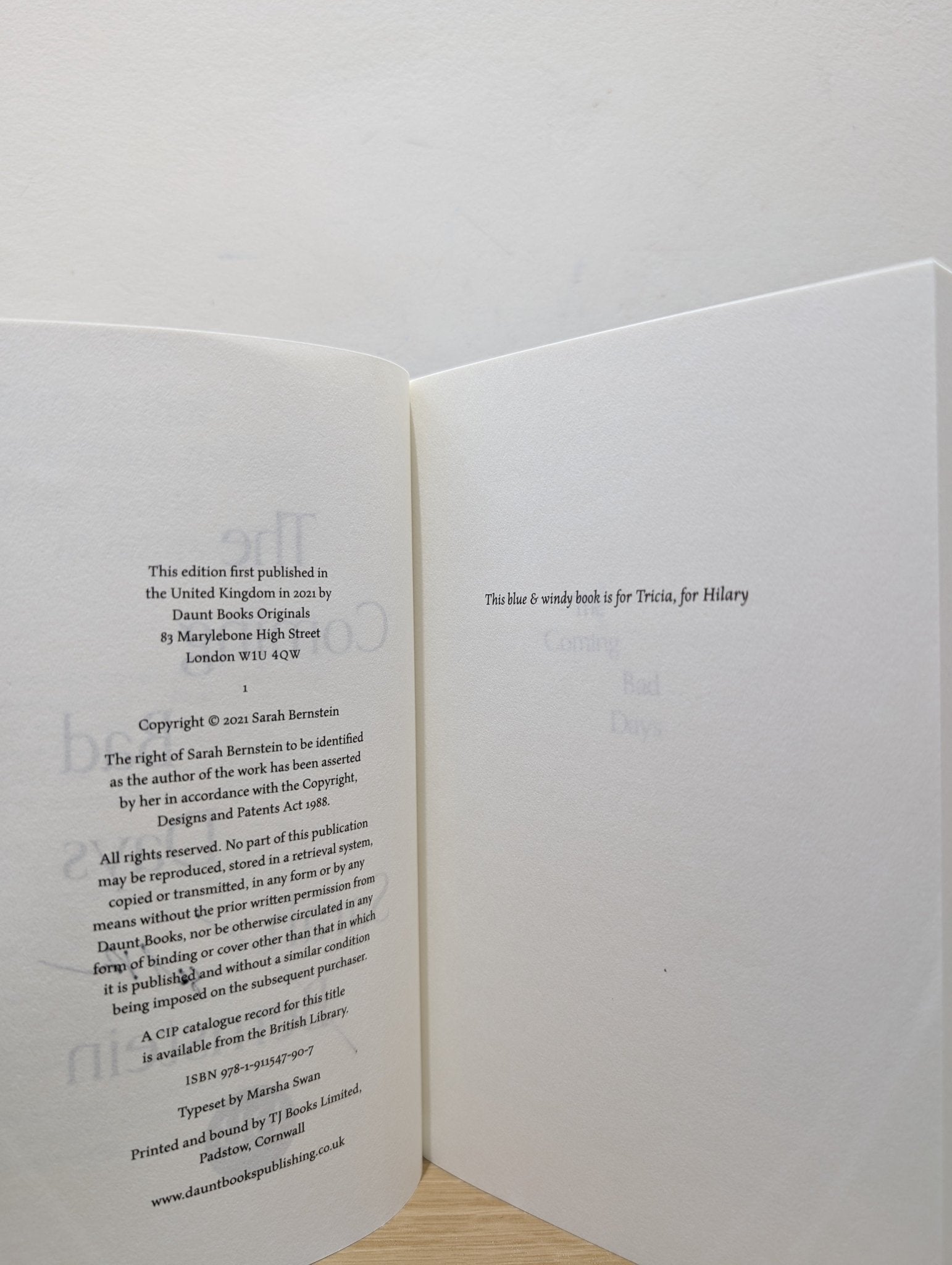 The Coming Bad Days by Sarah Bernstein (Signed First Edition) - Fialta Books