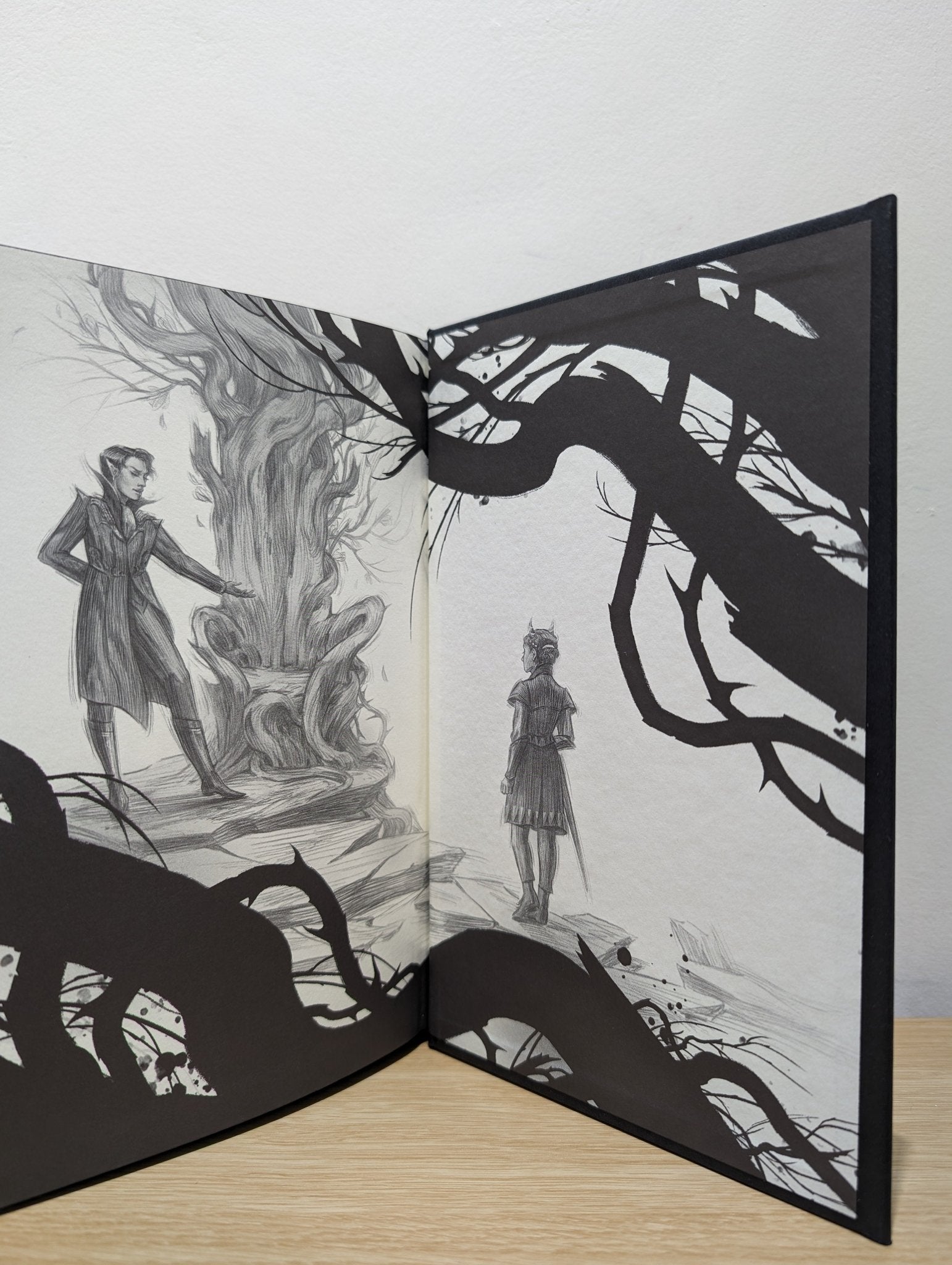 The Cruel Prince by Holly Black (Limited Edition) - Fialta Books