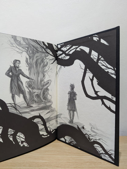 The Cruel Prince by Holly Black (Limited Edition) - Fialta Books