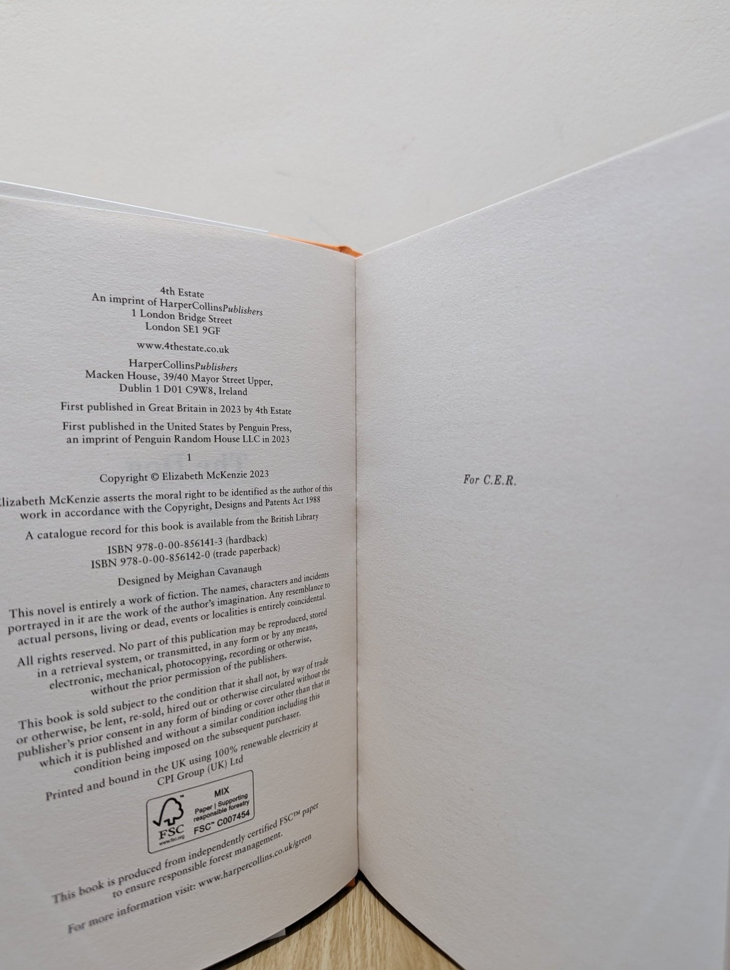 The Dog of the North by Elizabeth McKenzie (First Edition) - Fialta Books