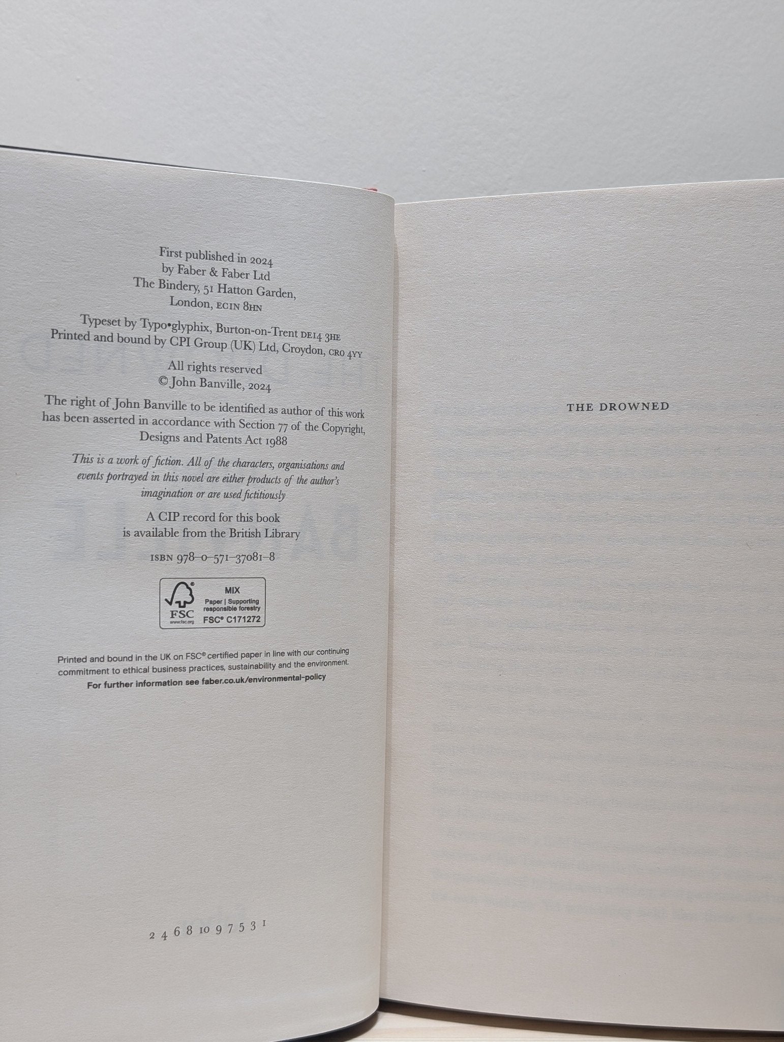 The Drowned by John Banville (Signed First Edition) - Fialta Books