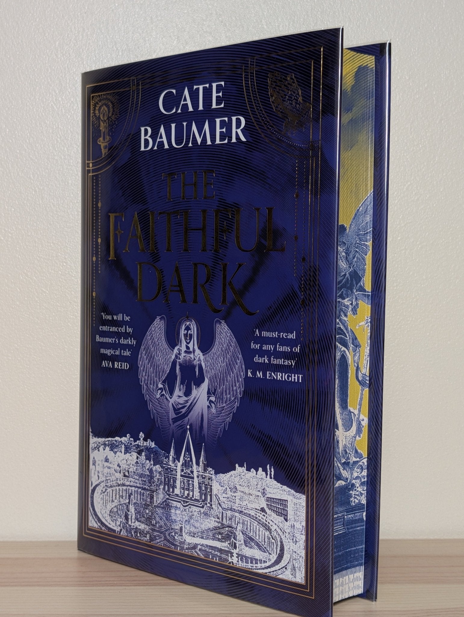 The Faithful Dark by Cate Baumer (Signed Numbered with sprayed edges) - Fialta Books