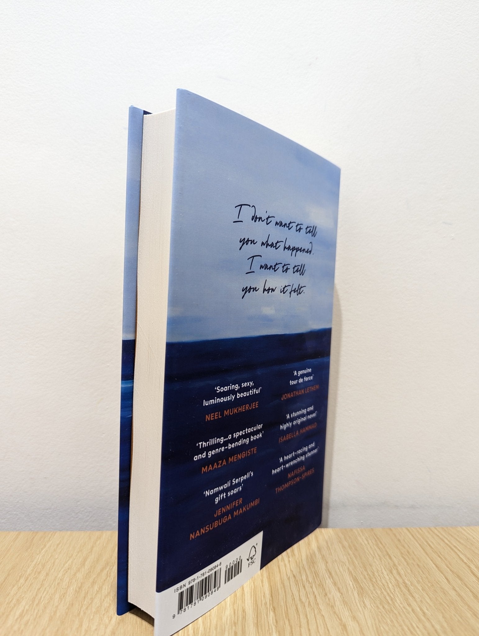 The Furrows by Namwali Serpell (First Edition) - Fialta Books