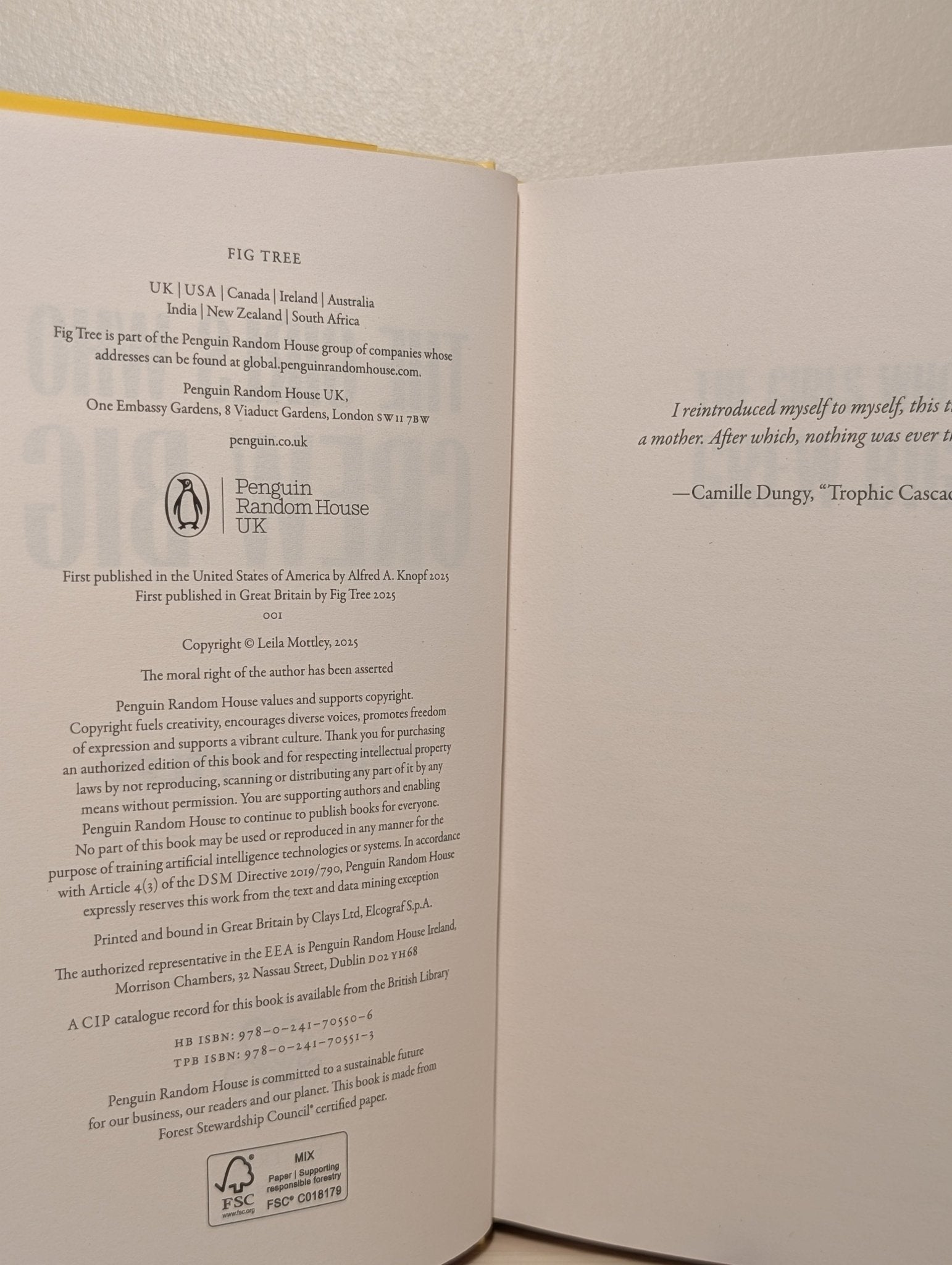 The Girls Who Grew Big by Leila Mottley (Signed First Edition) - Fialta Books