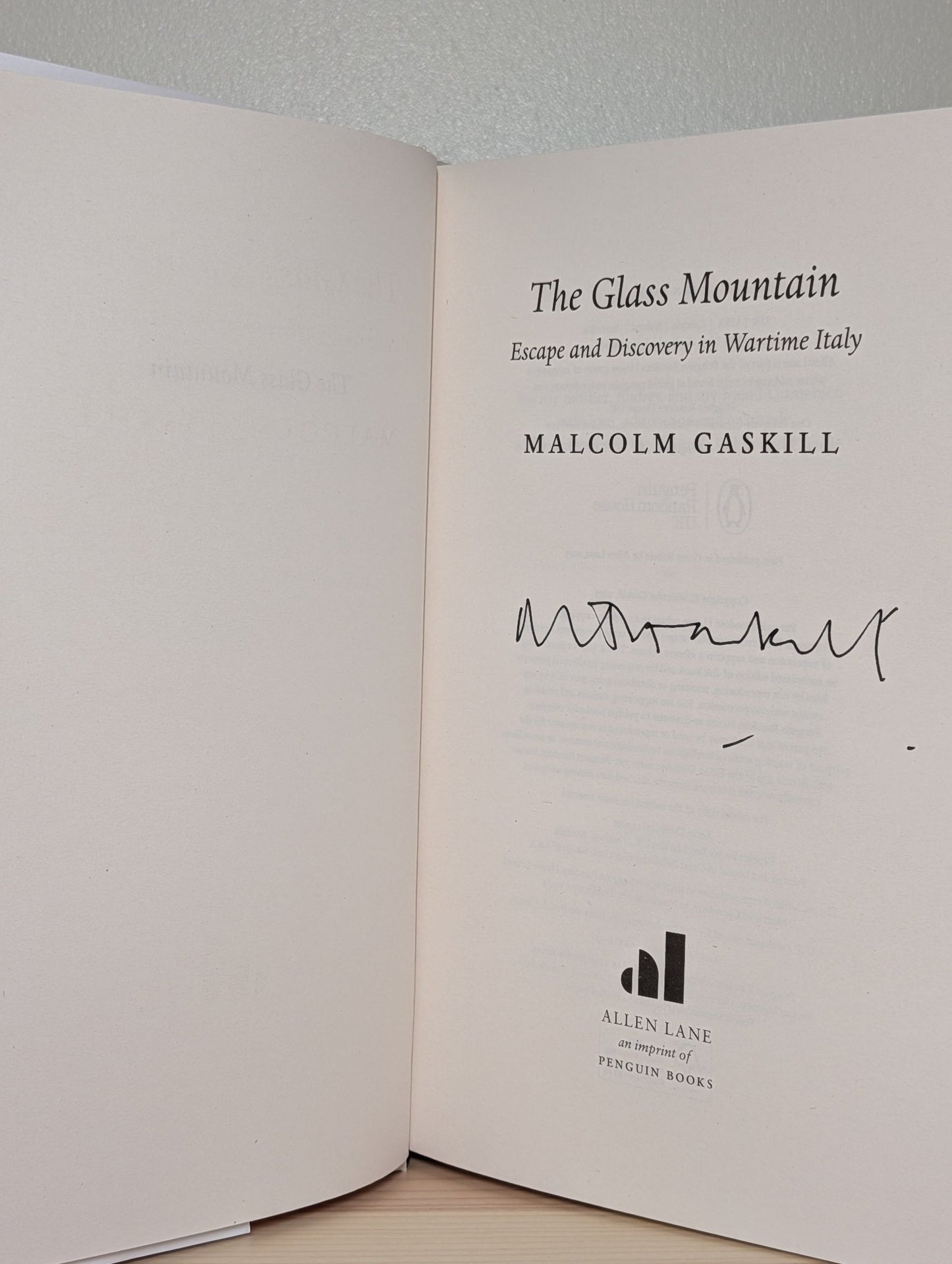 The Glass Mountain by Malcolm Gaskill (Signed First Edition) - Fialta Books
