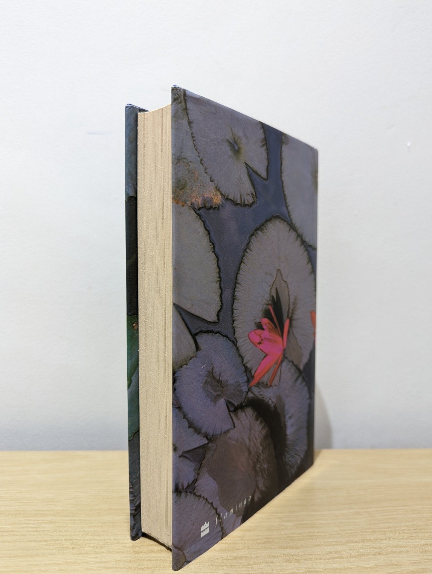 The God of Small Things by Arundhati Roy (First Edition) - Fialta Books