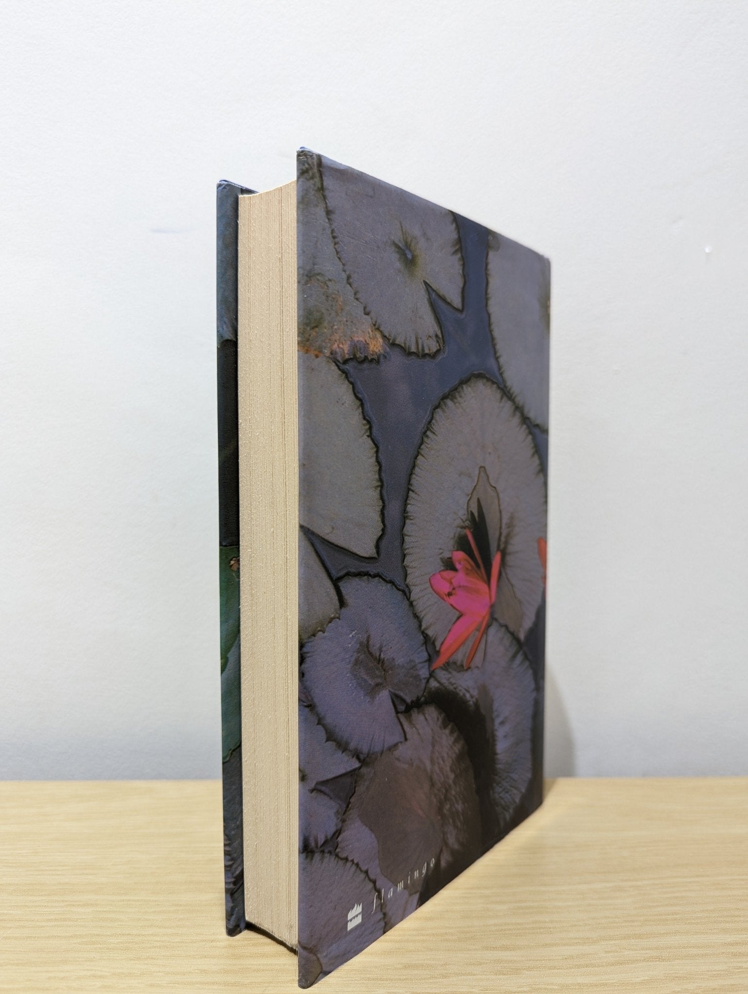 The God of Small Things by Arundhati Roy (First Edition) - Fialta Books