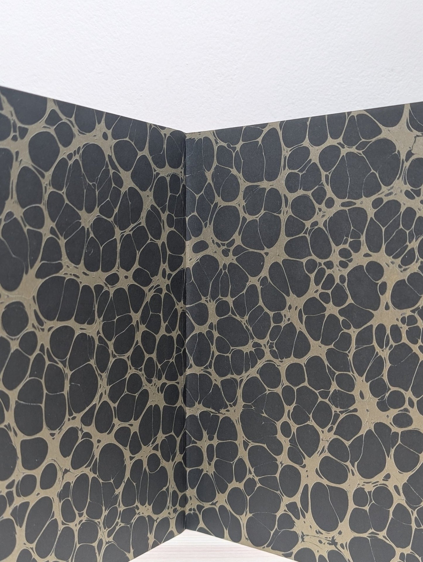 The Golden Mole by Katherine Rundell (Signed) - Fialta Books