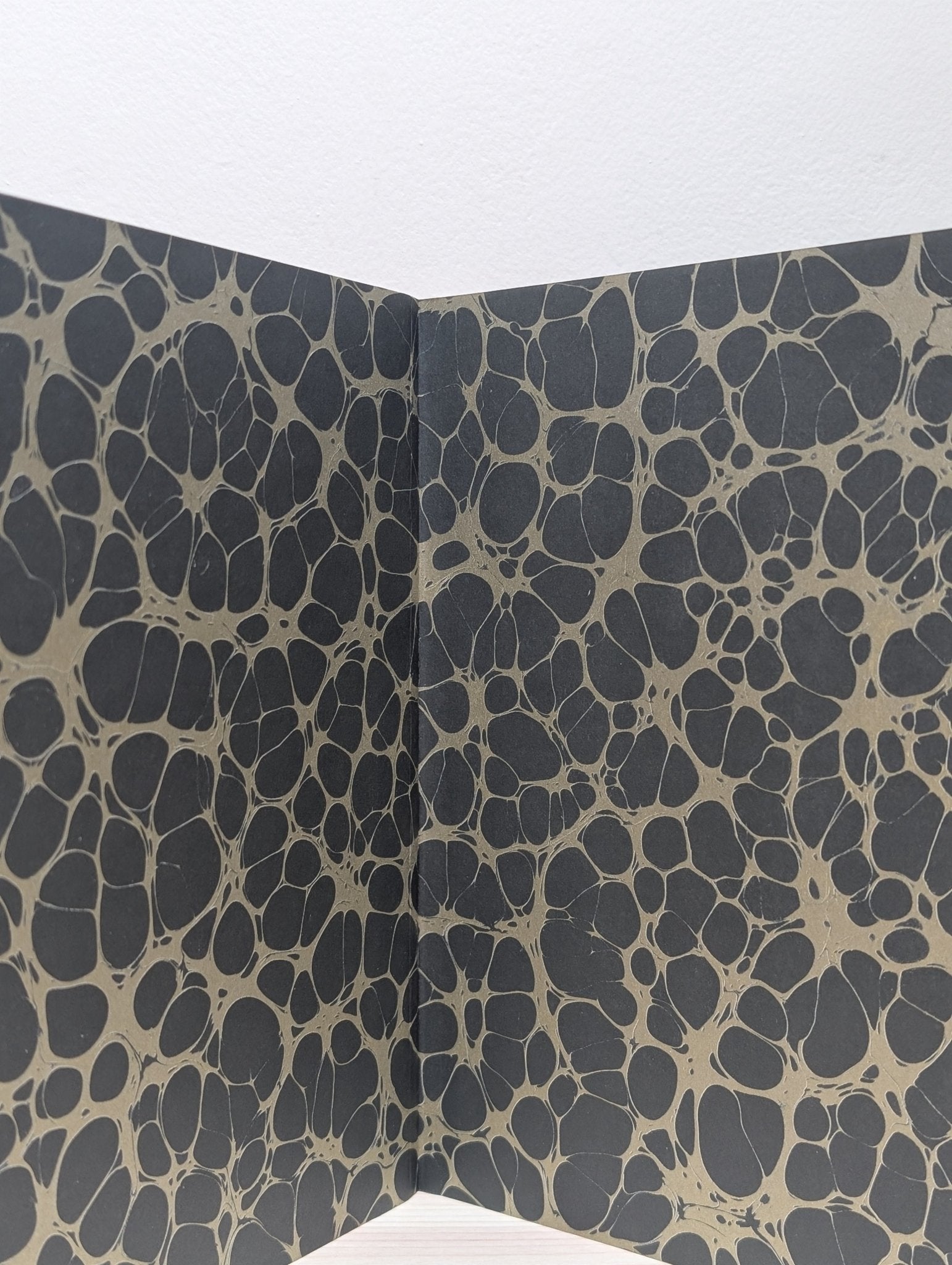 The Golden Mole by Katherine Rundell (Signed) - Fialta Books