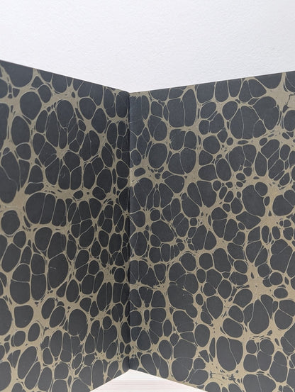 The Golden Mole by Katherine Rundell (Signed) - Fialta Books