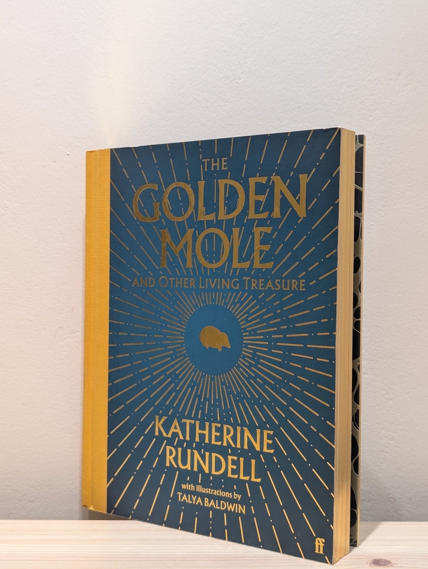 The Golden Mole by Katherine Rundell (Signed) - Fialta Books