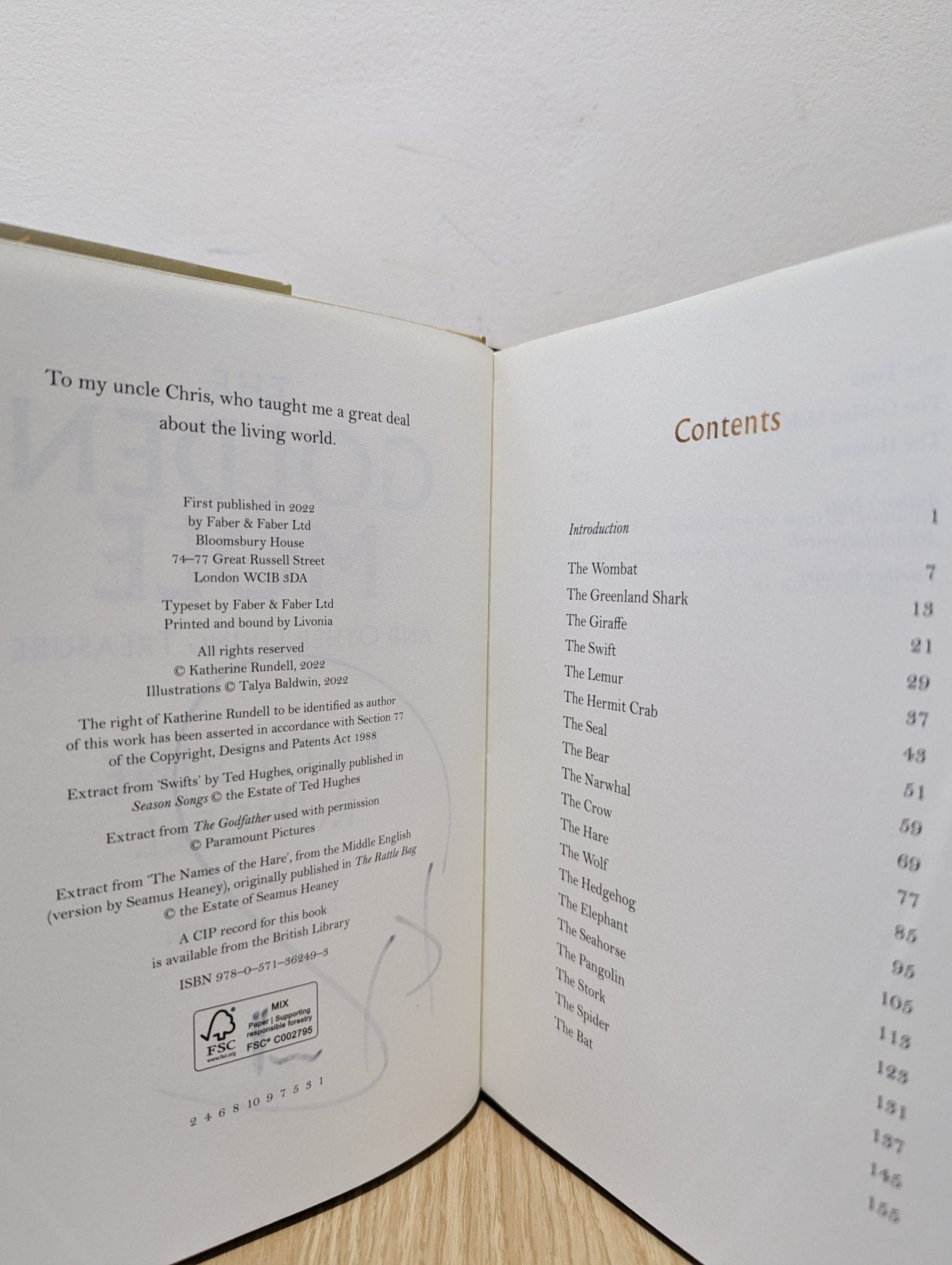 The Golden Mole by Katherine Rundell (Signed First Edition) - Fialta Books