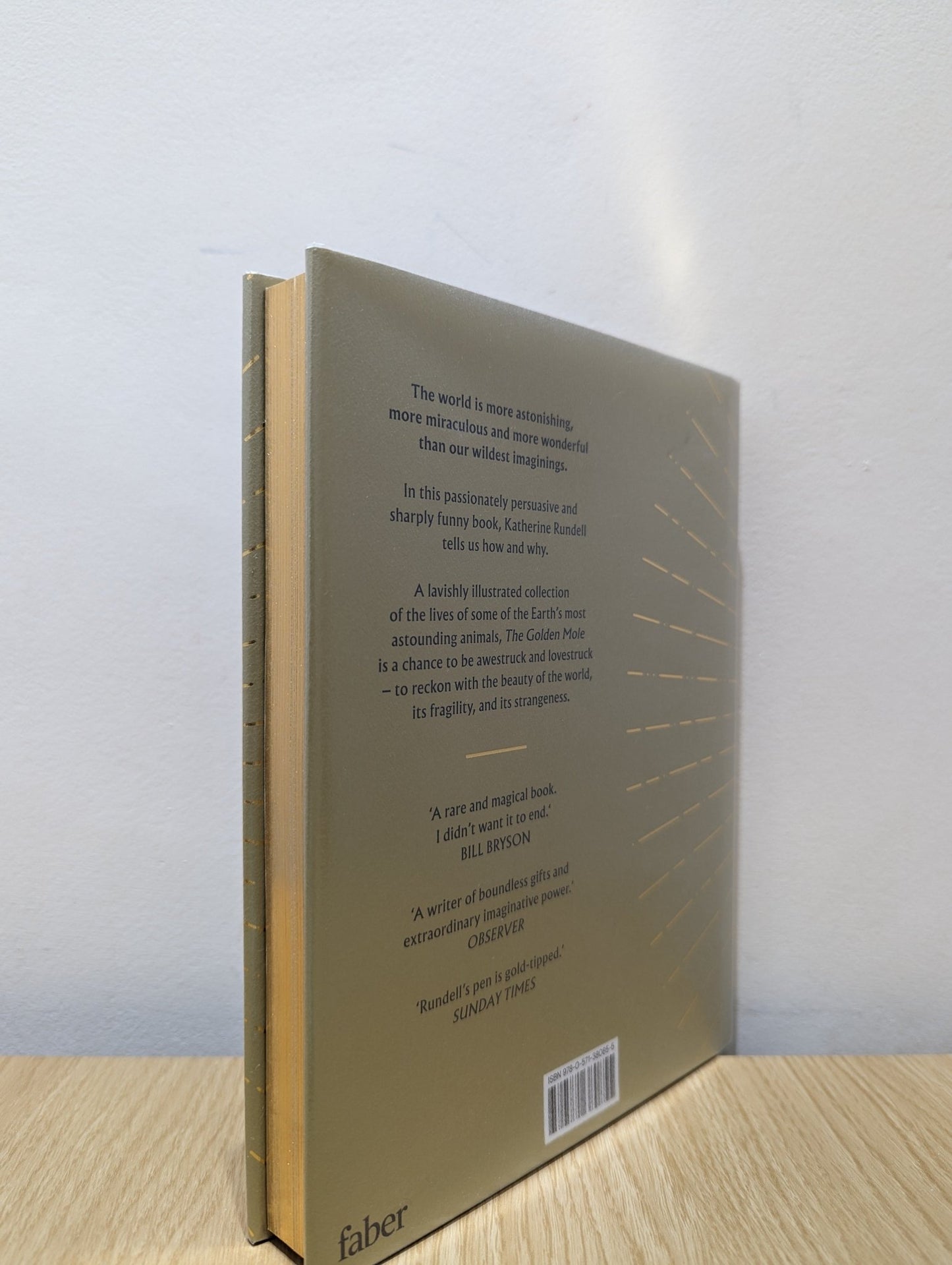 The Golden Mole by Katherine Rundell (Signed First Edition) - Fialta Books