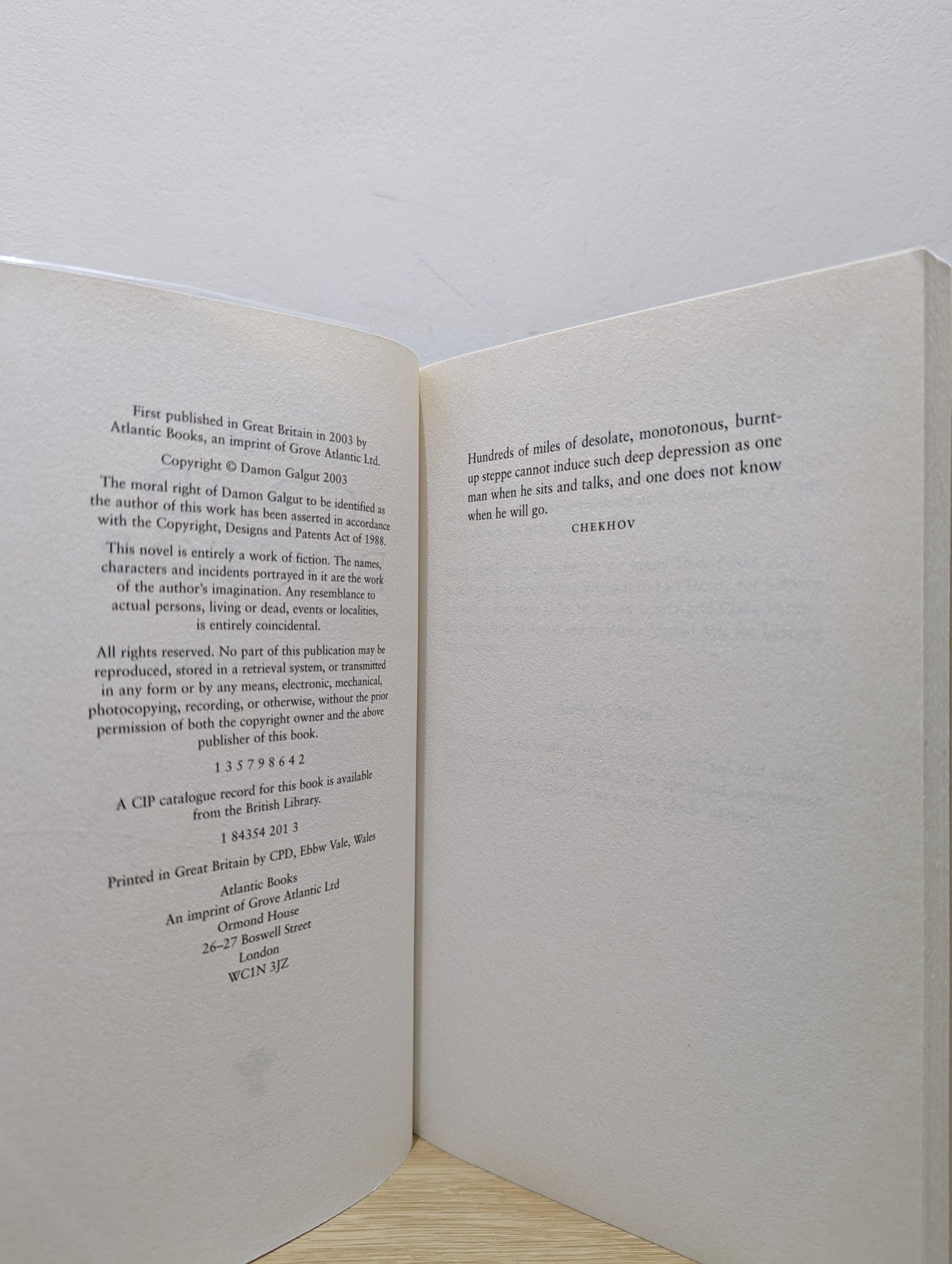 The Good Doctor by Damon Galgut (Signed First Edition) - Fialta Books