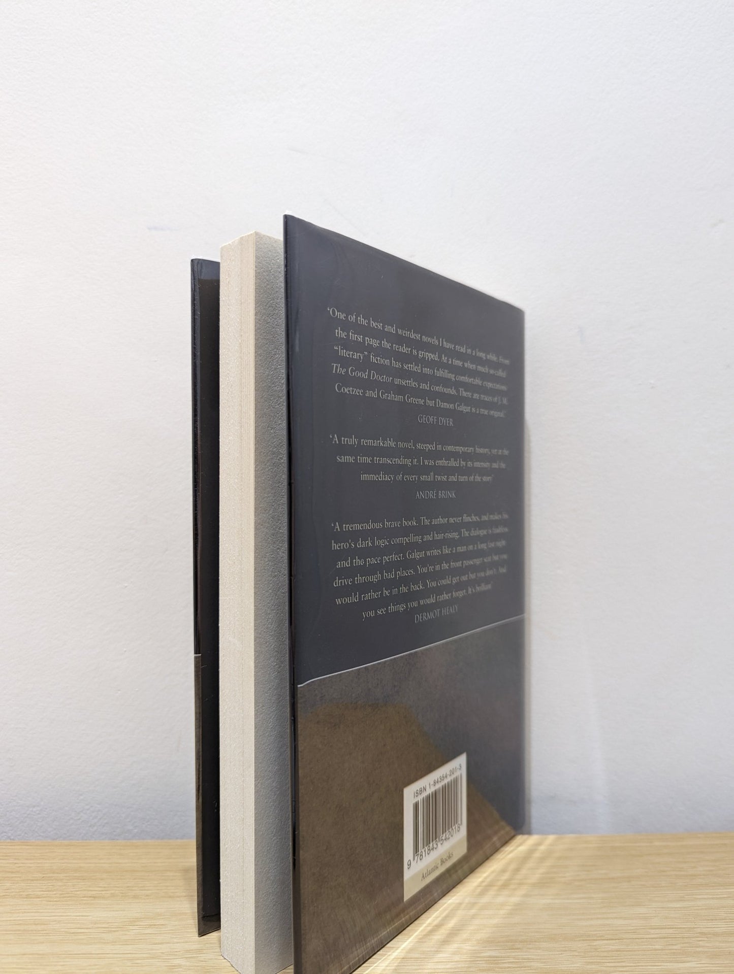 The Good Doctor by Damon Galgut (Signed First Edition) - Fialta Books