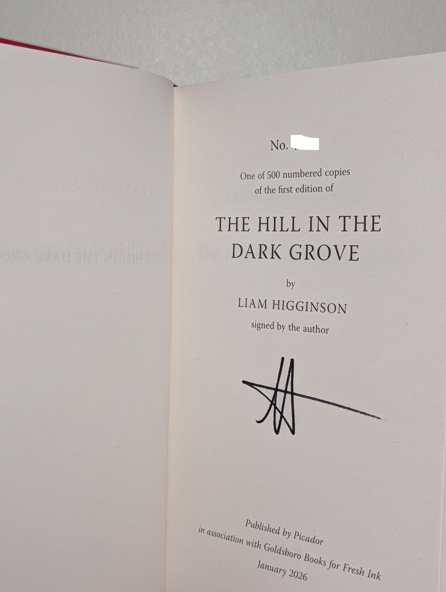 The Hill in the Dark Grove by Liam Higginson (Signed Numbered First Edition) - Fialta Books