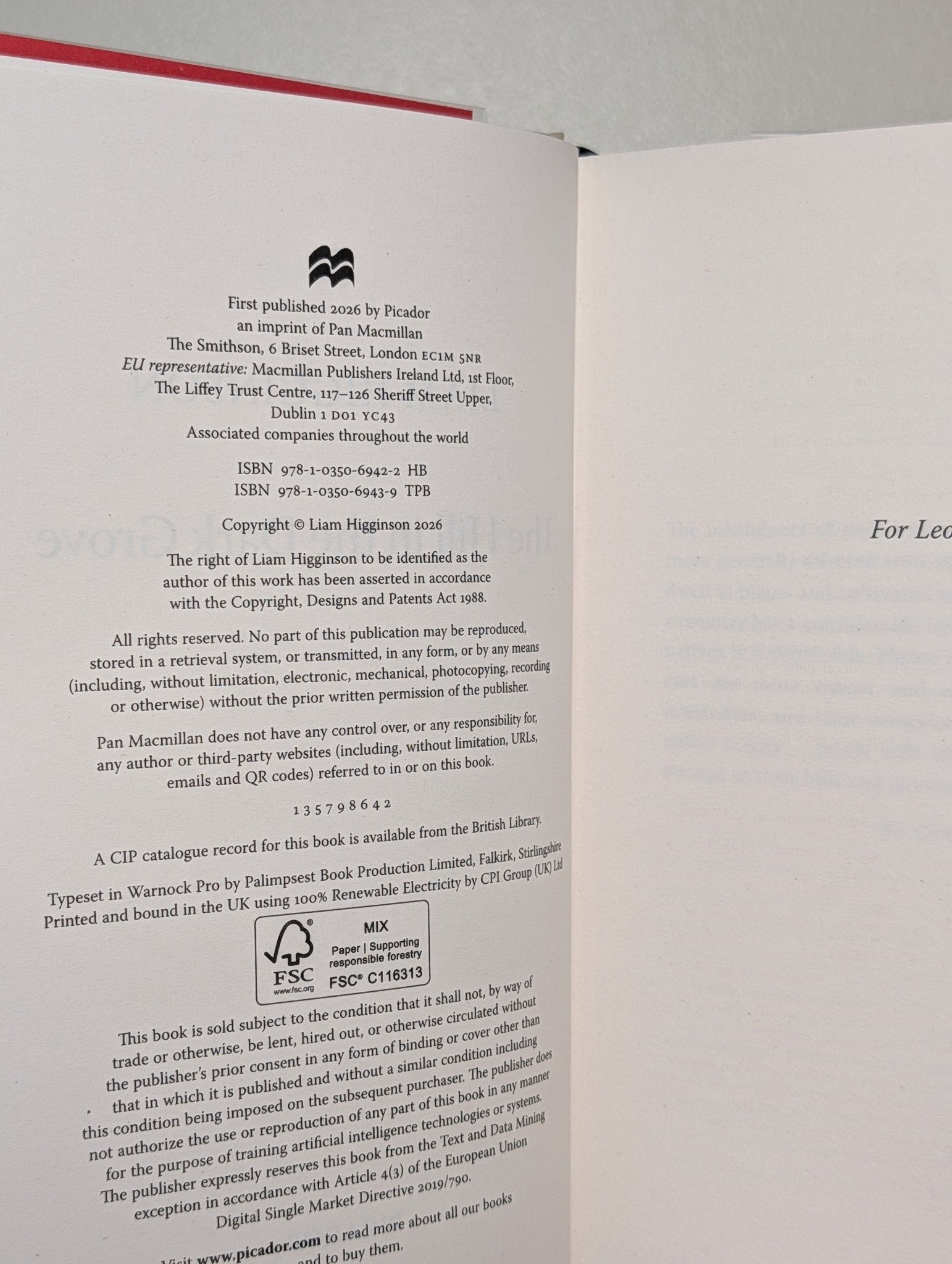 The Hill in the Dark Grove by Liam Higginson (Signed Numbered First Edition) - Fialta Books