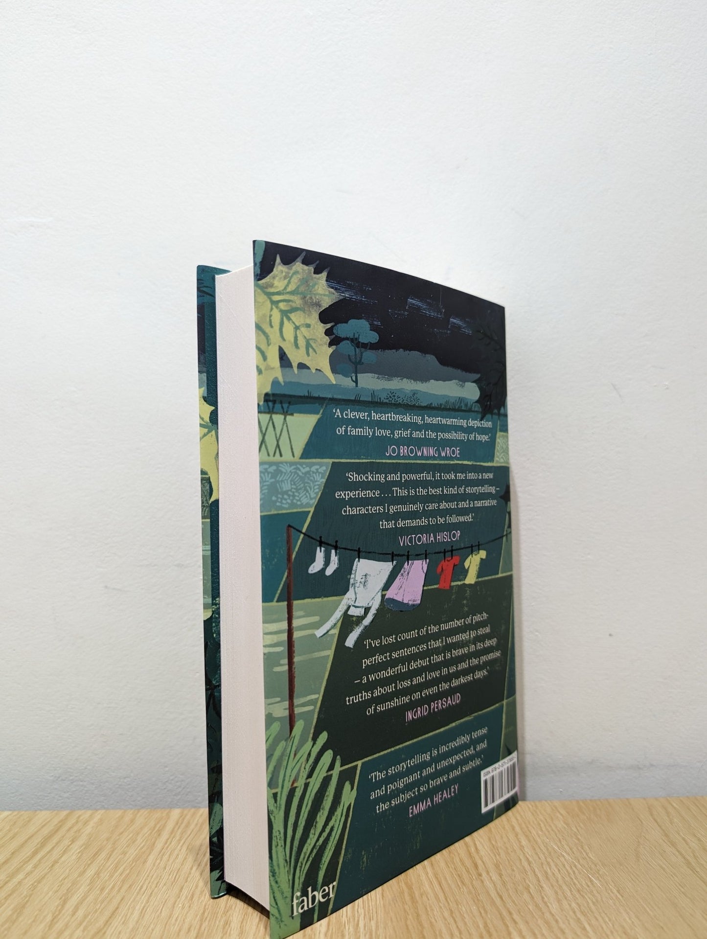 The House of Broken Bricks by Fiona Williams (Signed First Edition) - Fialta Books