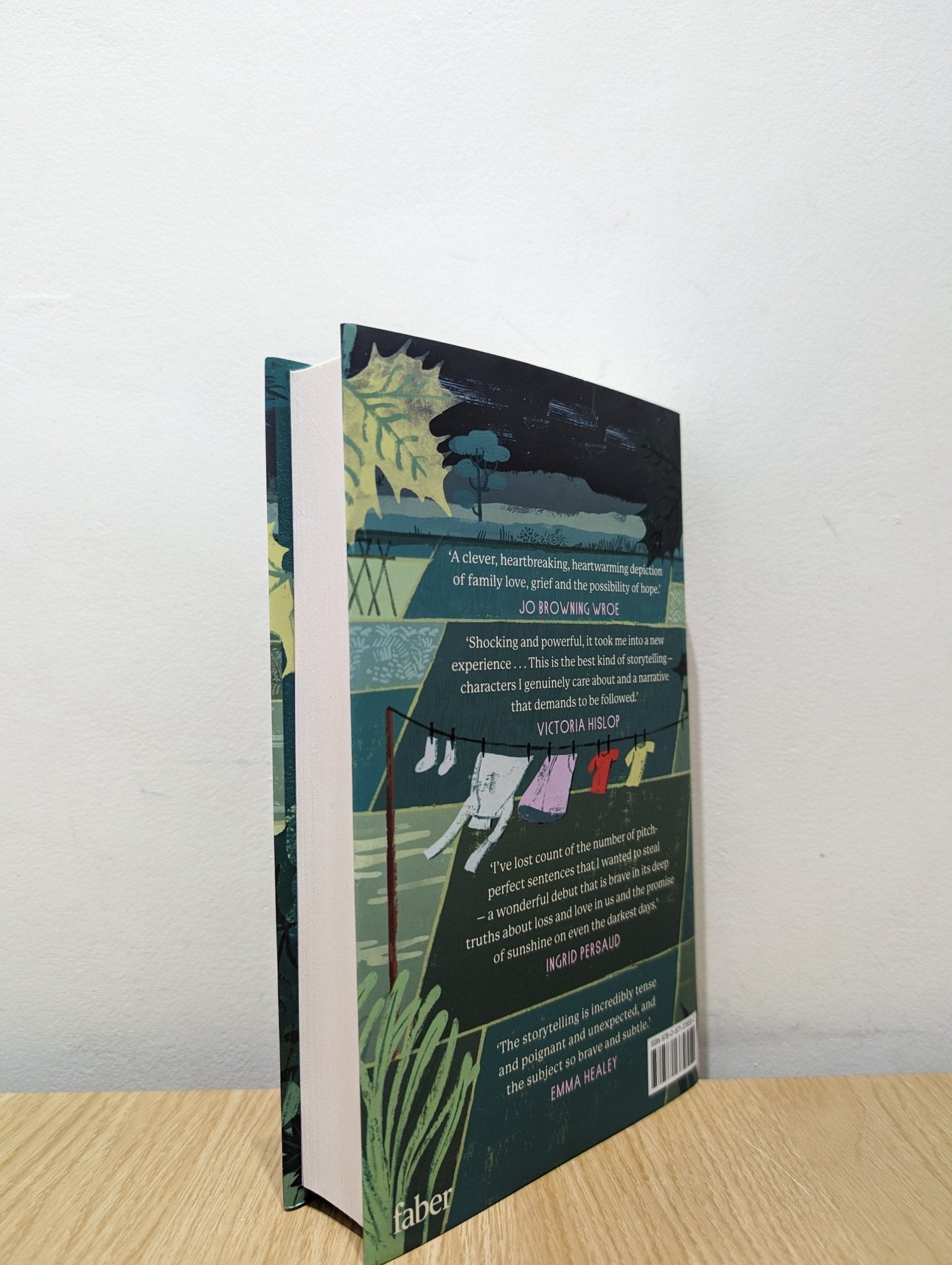 The House of Broken Bricks by Fiona Williams (Signed First Edition) - Fialta Books