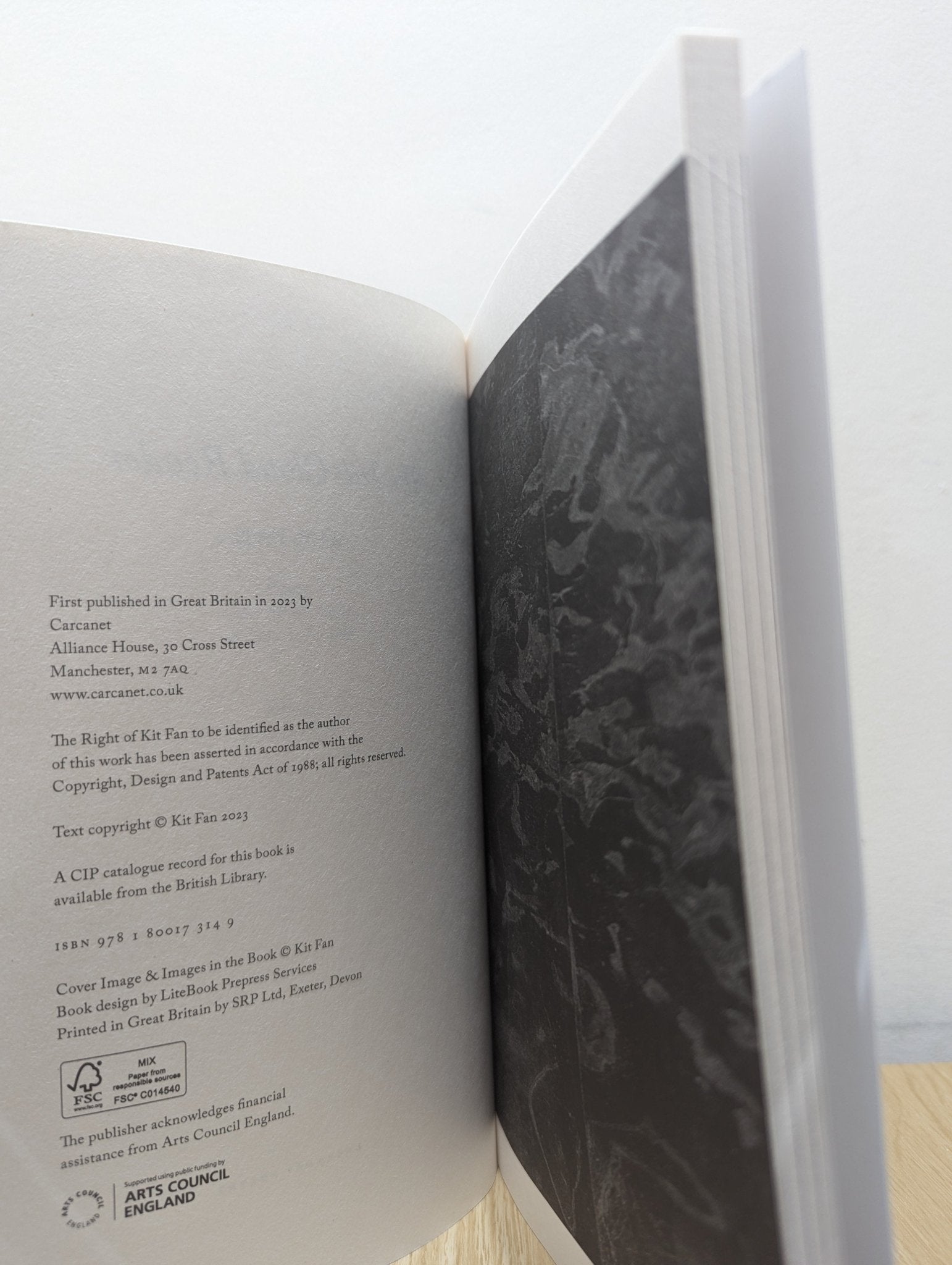 The Ink Cloud Reader by Kit Fan (First Edition) - Fialta Books