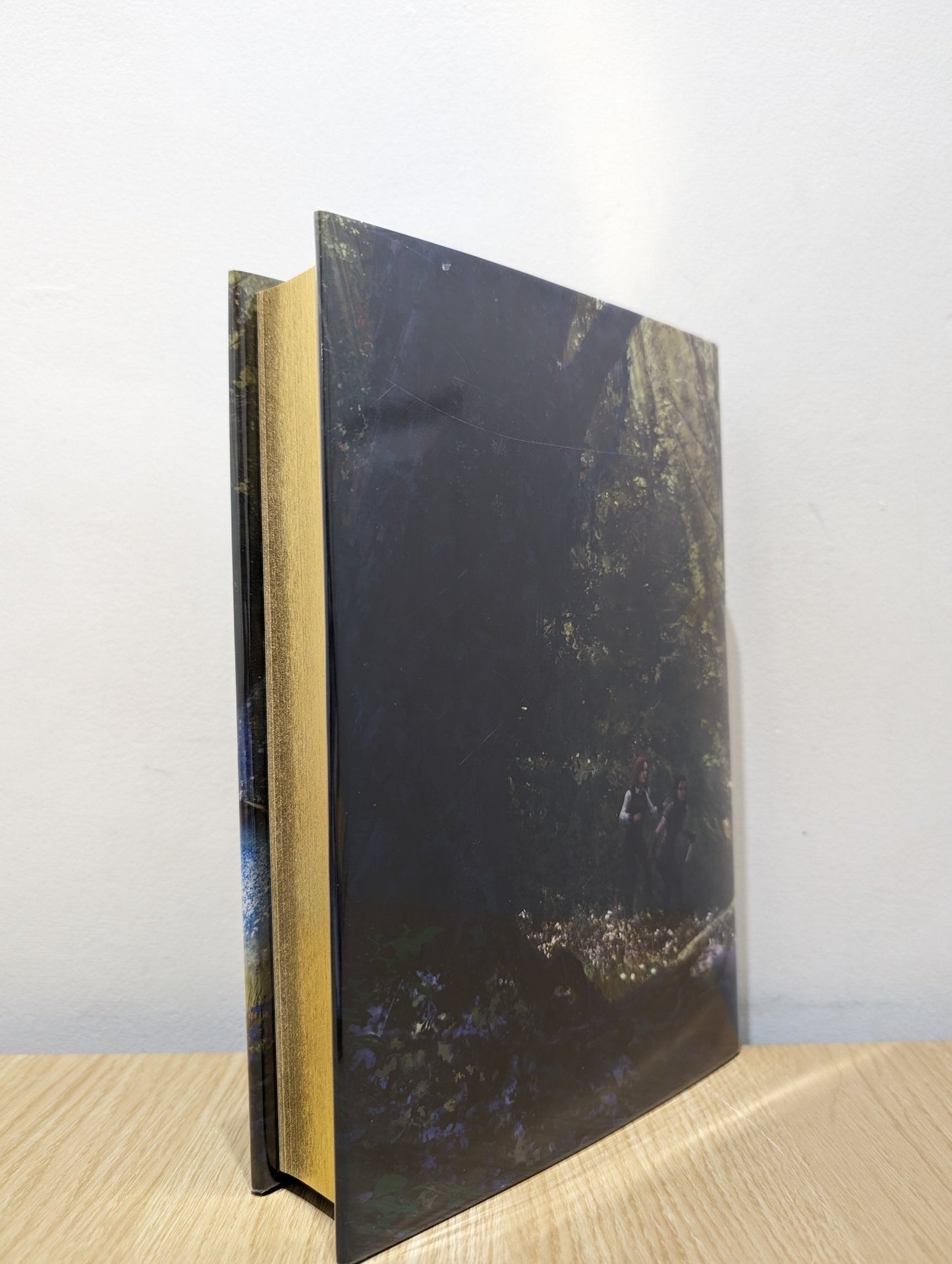 The Iron Crown by L.L. MacRae (Signed Deluxe Edition) - Fialta Books