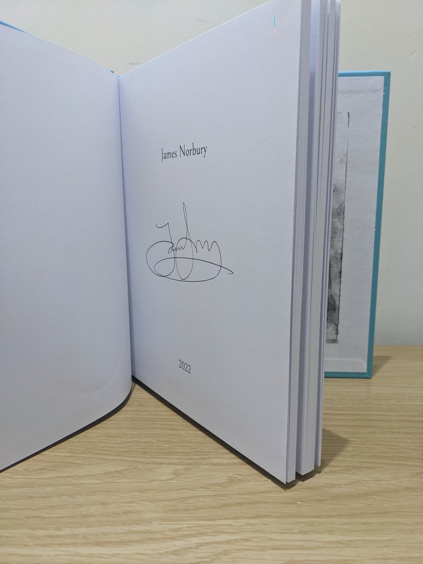 The Journey: A Big Panda and Tiny Dragon Adventure by James Norbury (Signed First Edition) - Fialta Books