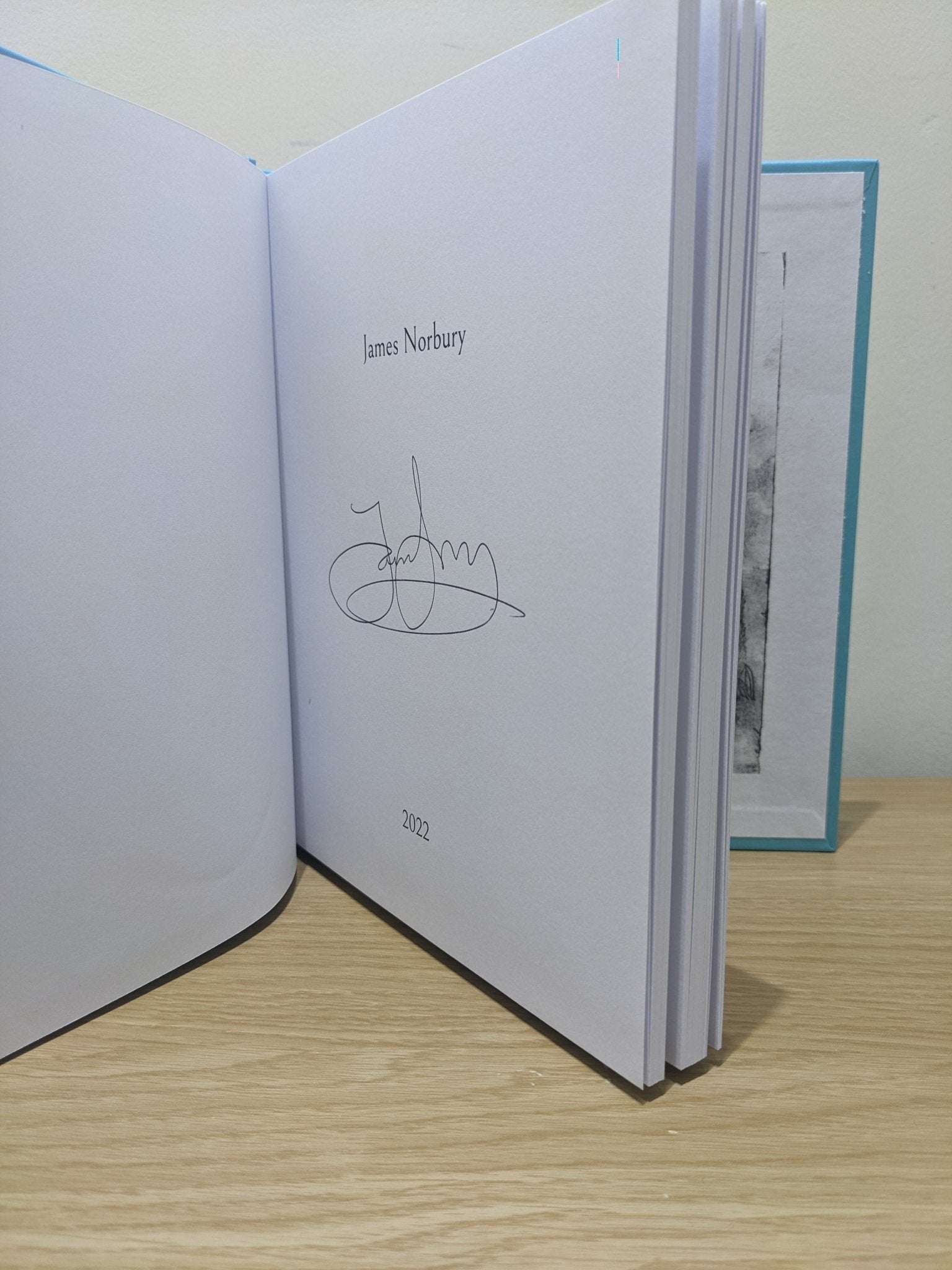 The Journey: A Big Panda and Tiny Dragon Adventure by James Norbury (Signed First Edition) - Fialta Books