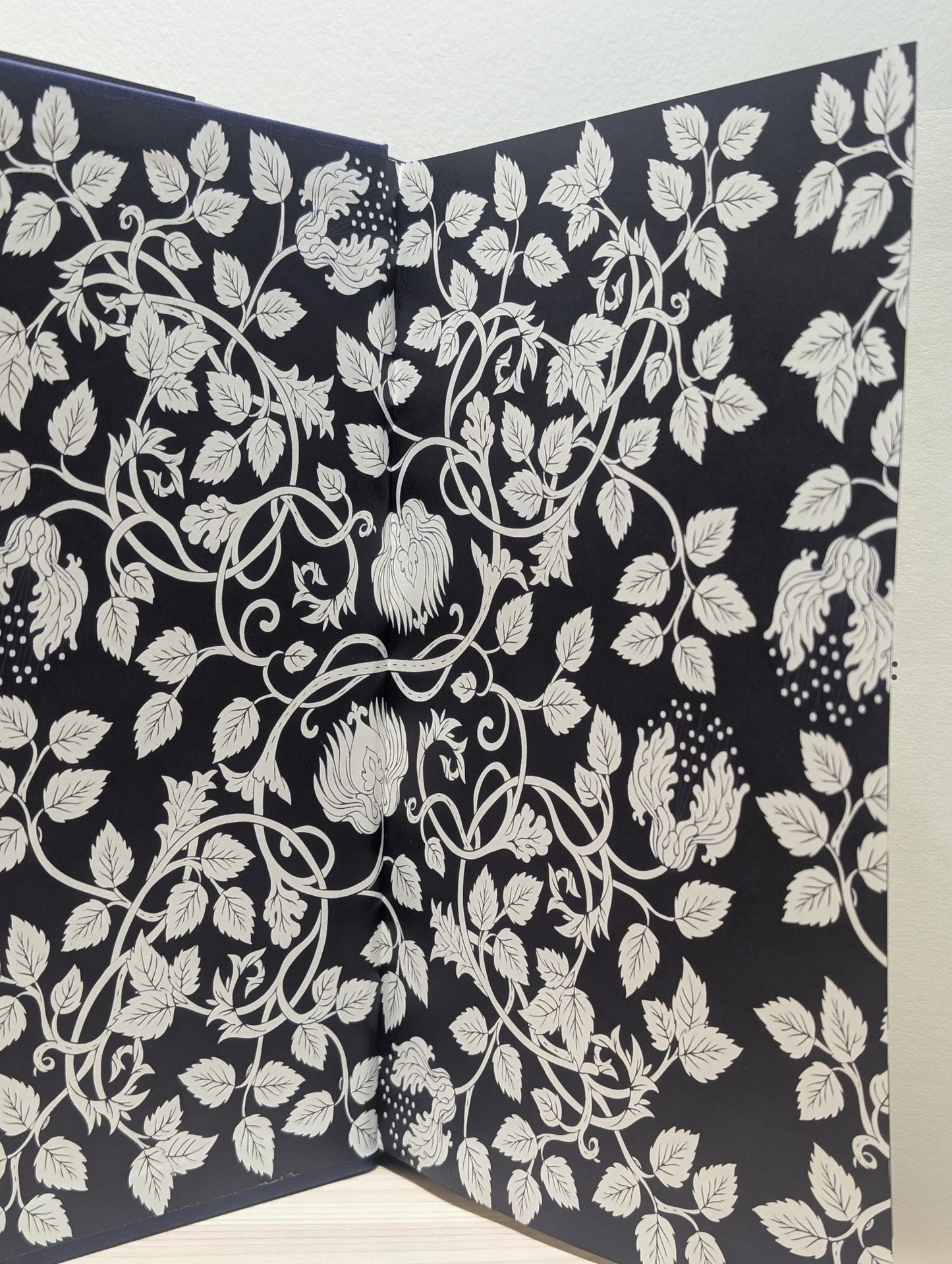 The Knight and the Moth by Rachel Gillig (First Edition with sprayed edges) - Fialta Books