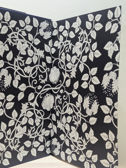 The Knight and the Moth by Rachel Gillig (First Edition with sprayed edges) - Fialta Books