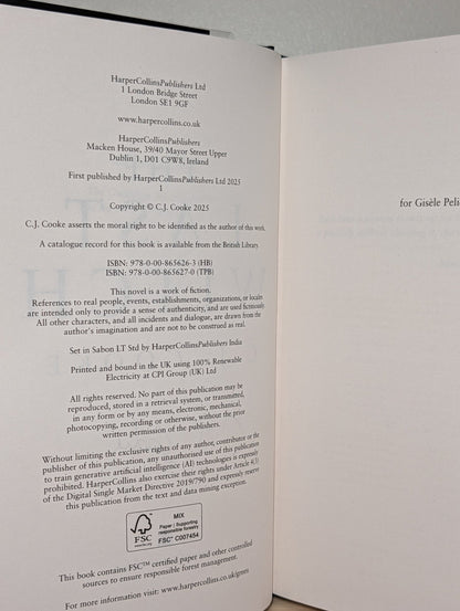 The Last Witch by C.J. Cooke (Signed First Edition) - Fialta Books