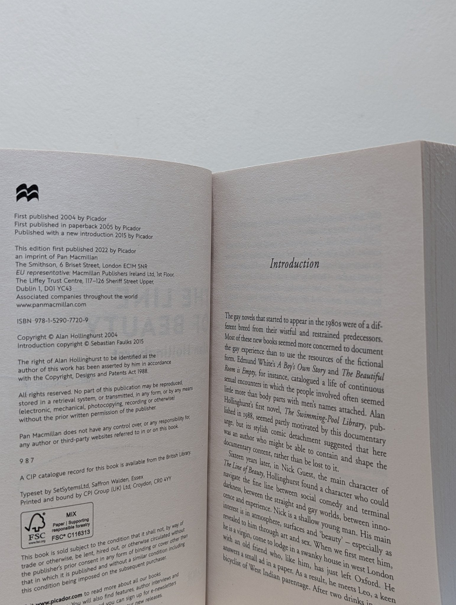 The Line of Beauty by Alan Hollinghurst (Signed Paperback Edition) - Fialta Books