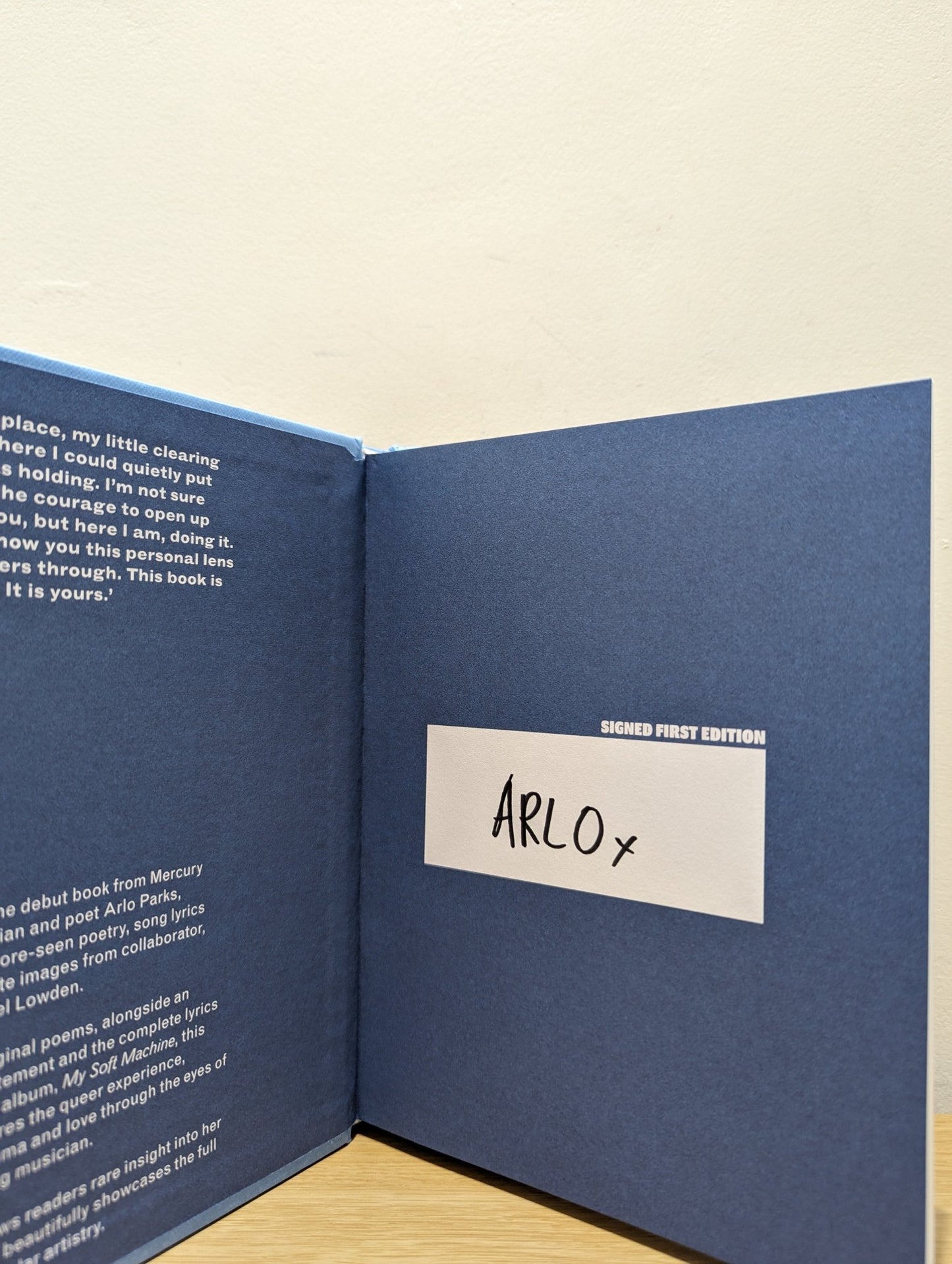 The Magic Border by Arlo Parks (Signed First Edition) - Fialta Books