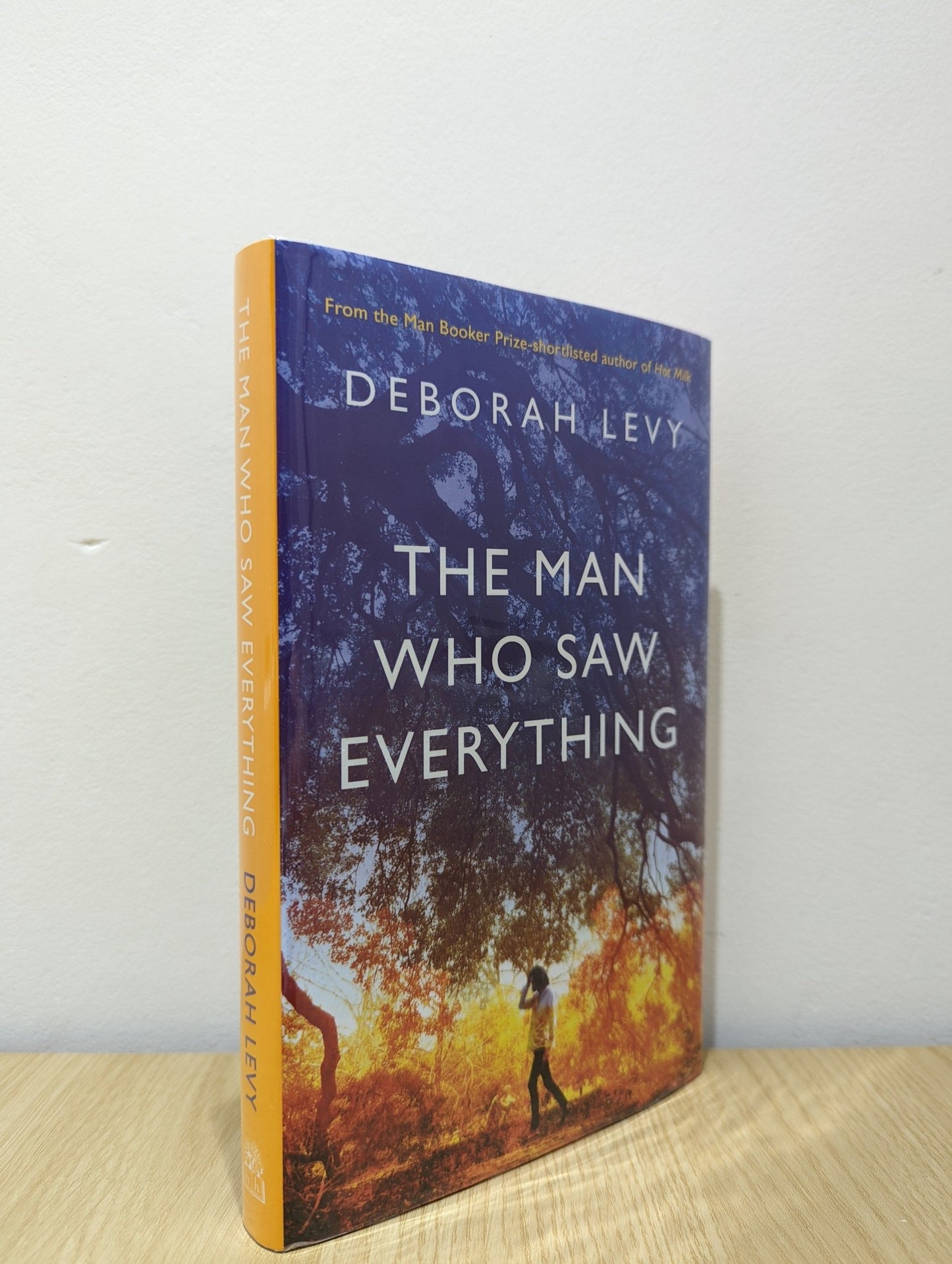 The Man Who Saw Everything by Deborah Levy (Signed First Edition) - Fialta Books