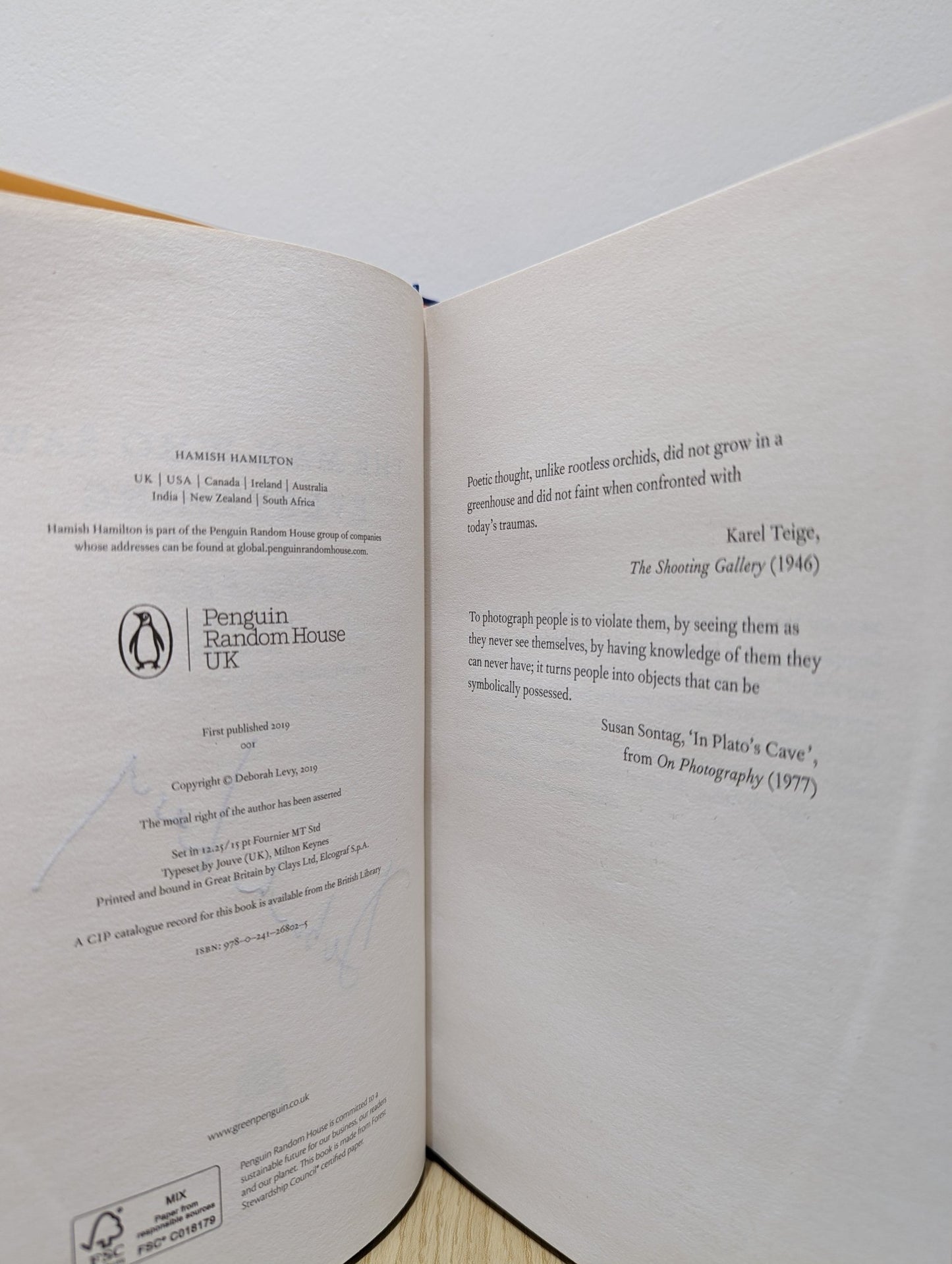 The Man Who Saw Everything by Deborah Levy (Signed First Edition) - Fialta Books