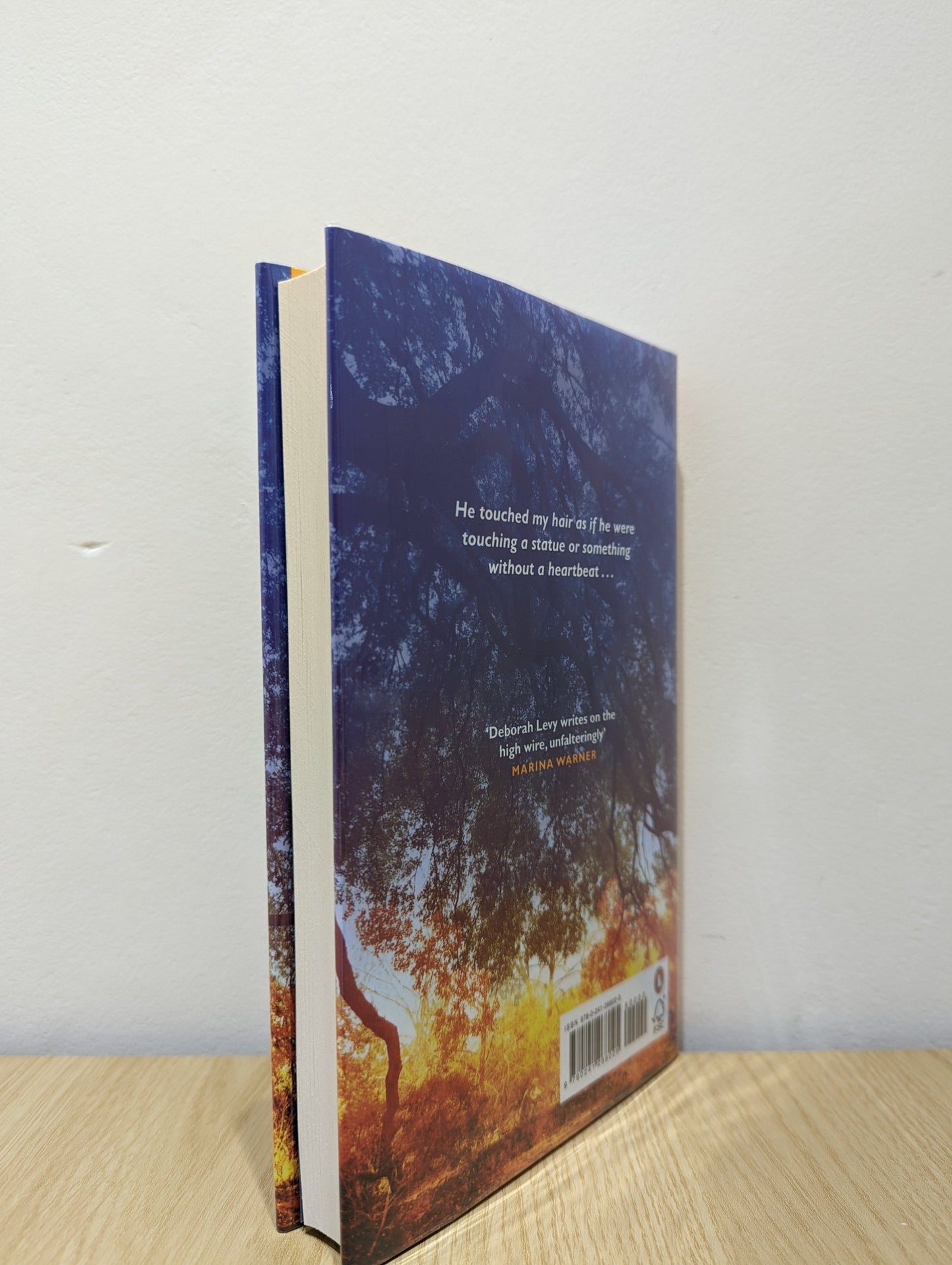 The Man Who Saw Everything by Deborah Levy (Signed First Edition) - Fialta Books