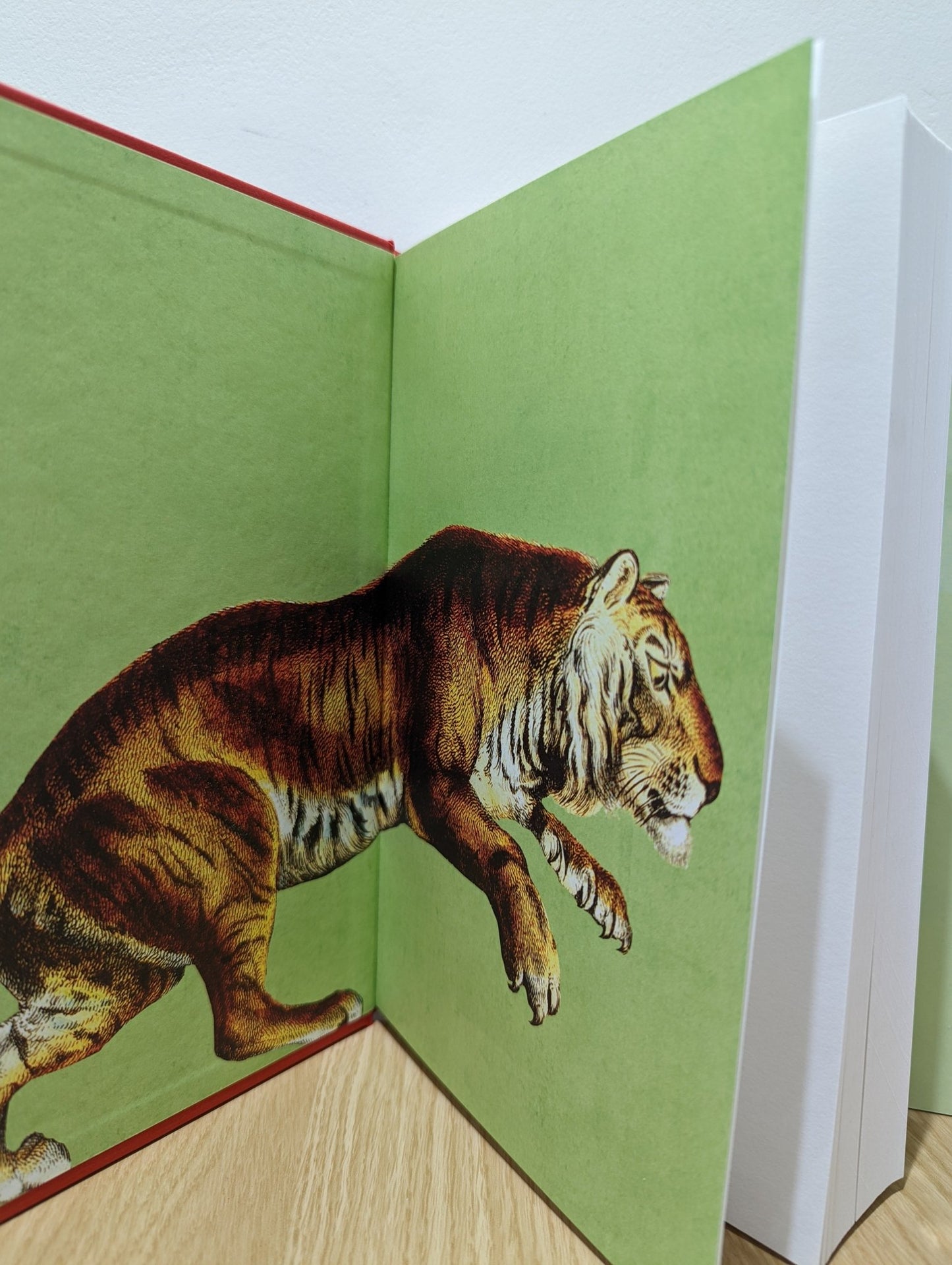 The Marriage Portrait by Maggie O'Farrell (Signed First Edition with extra essay) - Fialta Books