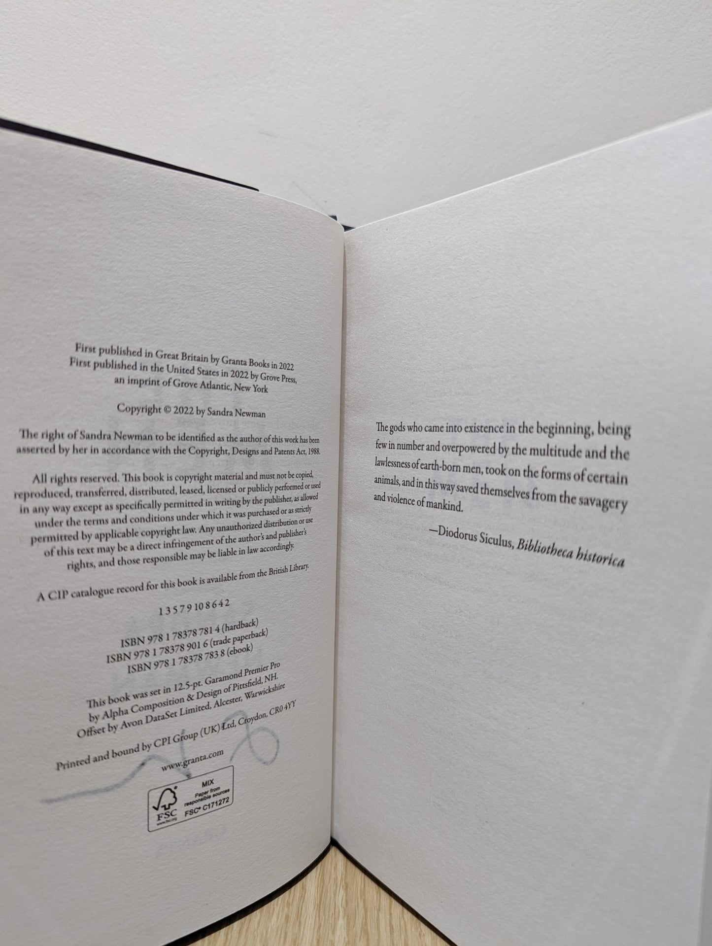 The Men by Sandra Newman (Signed First Edition) - Fialta Books