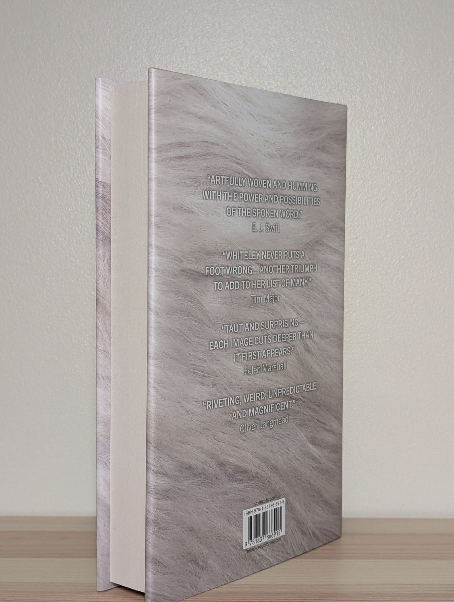 The Misheard World by Aliya Whiteley (First Edition) - Fialta Books