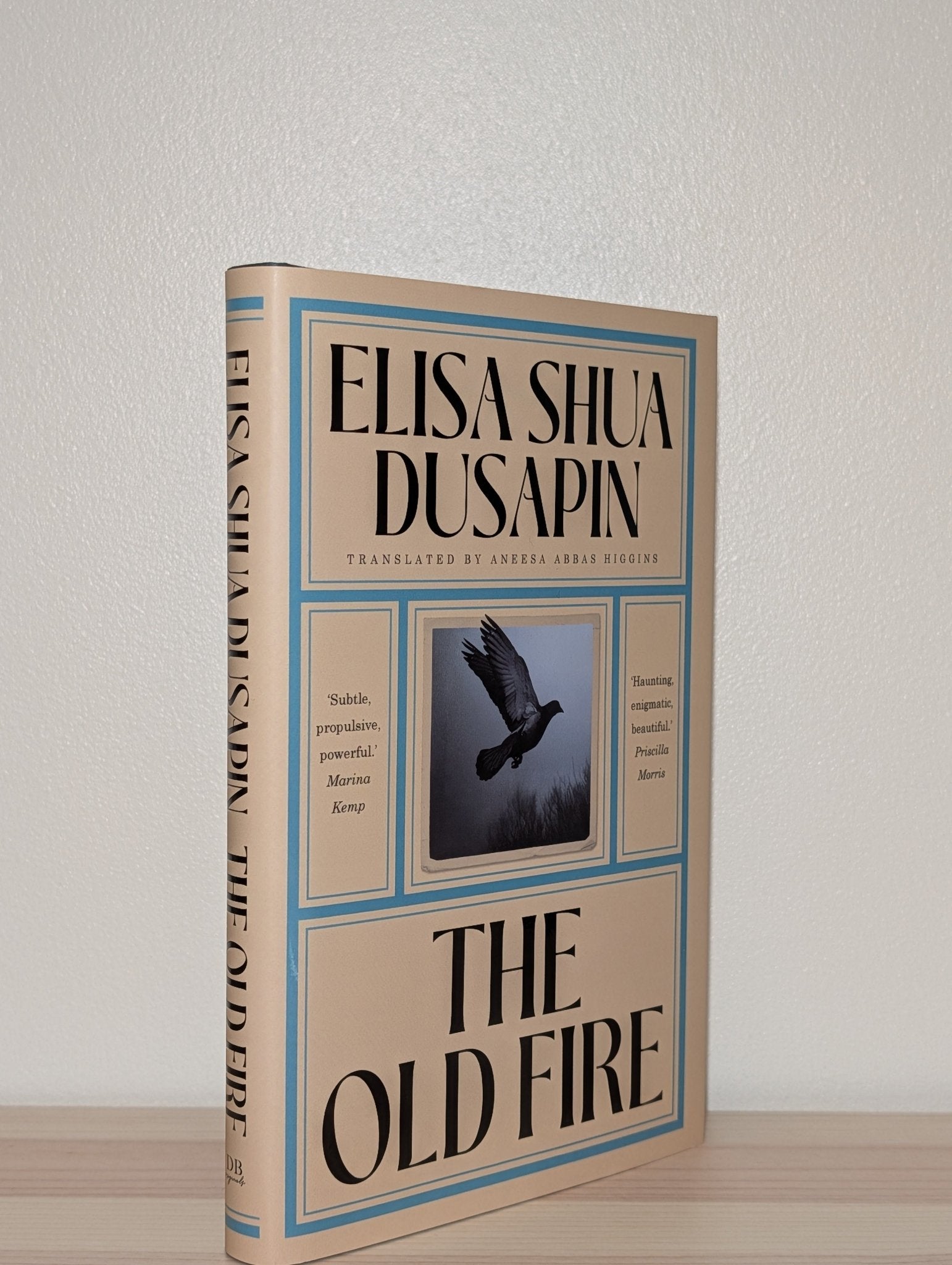 The Old Fire by Elisa Shua Dusapin (First Edition) - Fialta Books