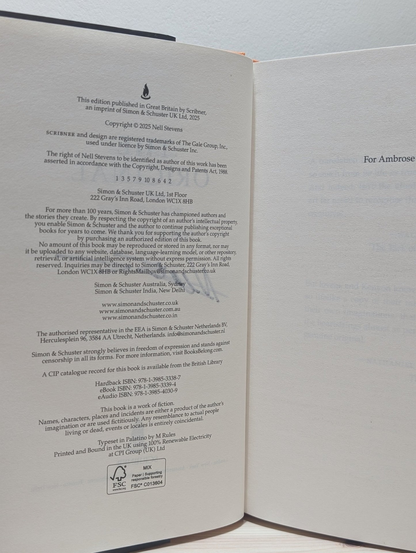 The Original by Nell Stevens (Signed First Edition) - Fialta Books