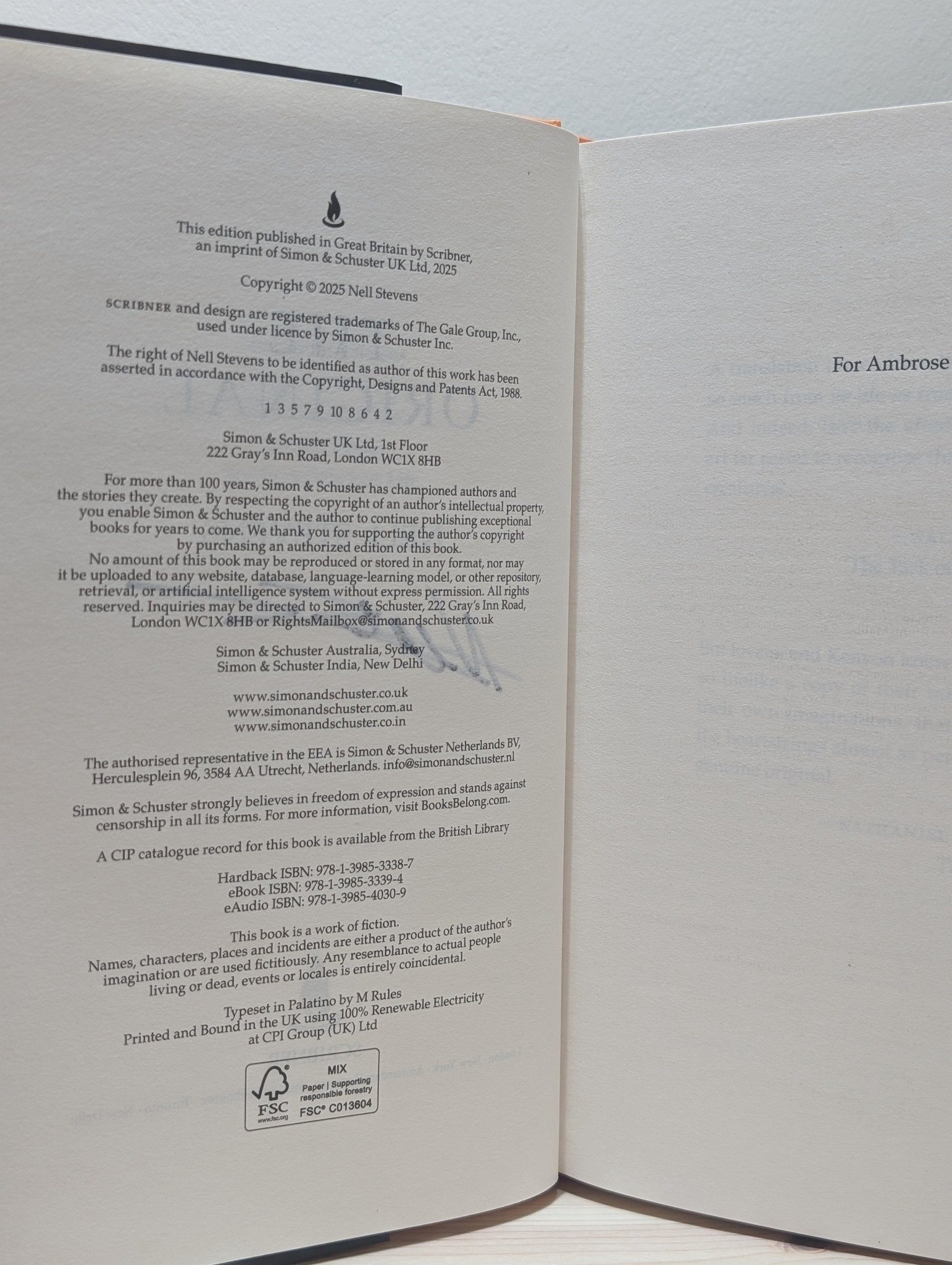 The Original by Nell Stevens (Signed First Edition) - Fialta Books